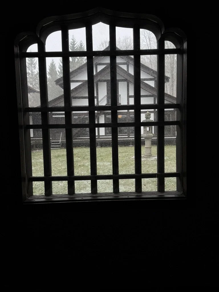 FEEFFE80-F7A9-4AC8-A5A2-B502F1B96DEC_1_105_c.jpeg
