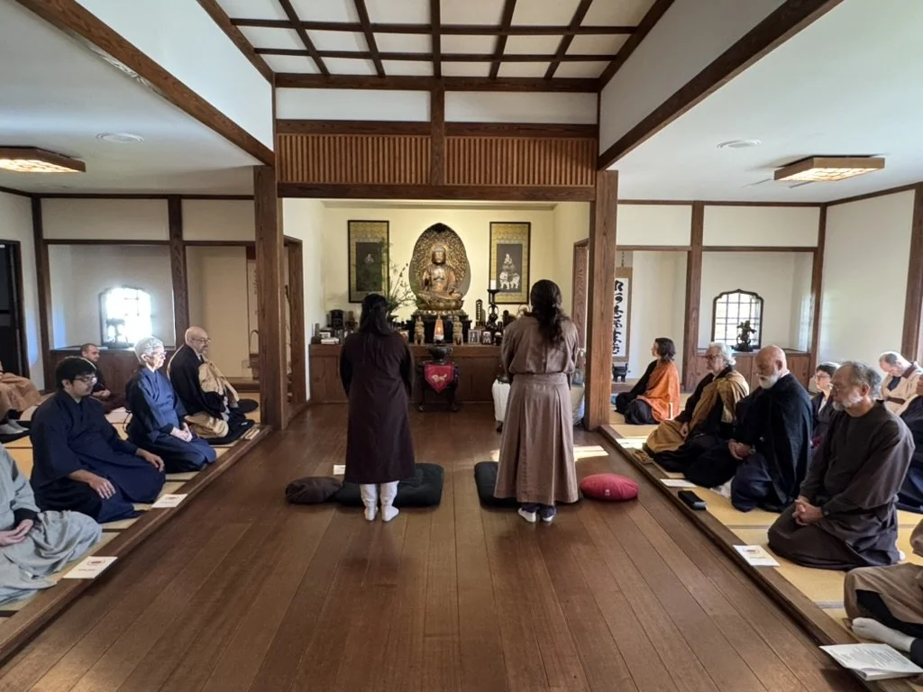 C8F1EB4C-8B01-45C1-8ACD-7148D2890328_1_105_c.jpeg