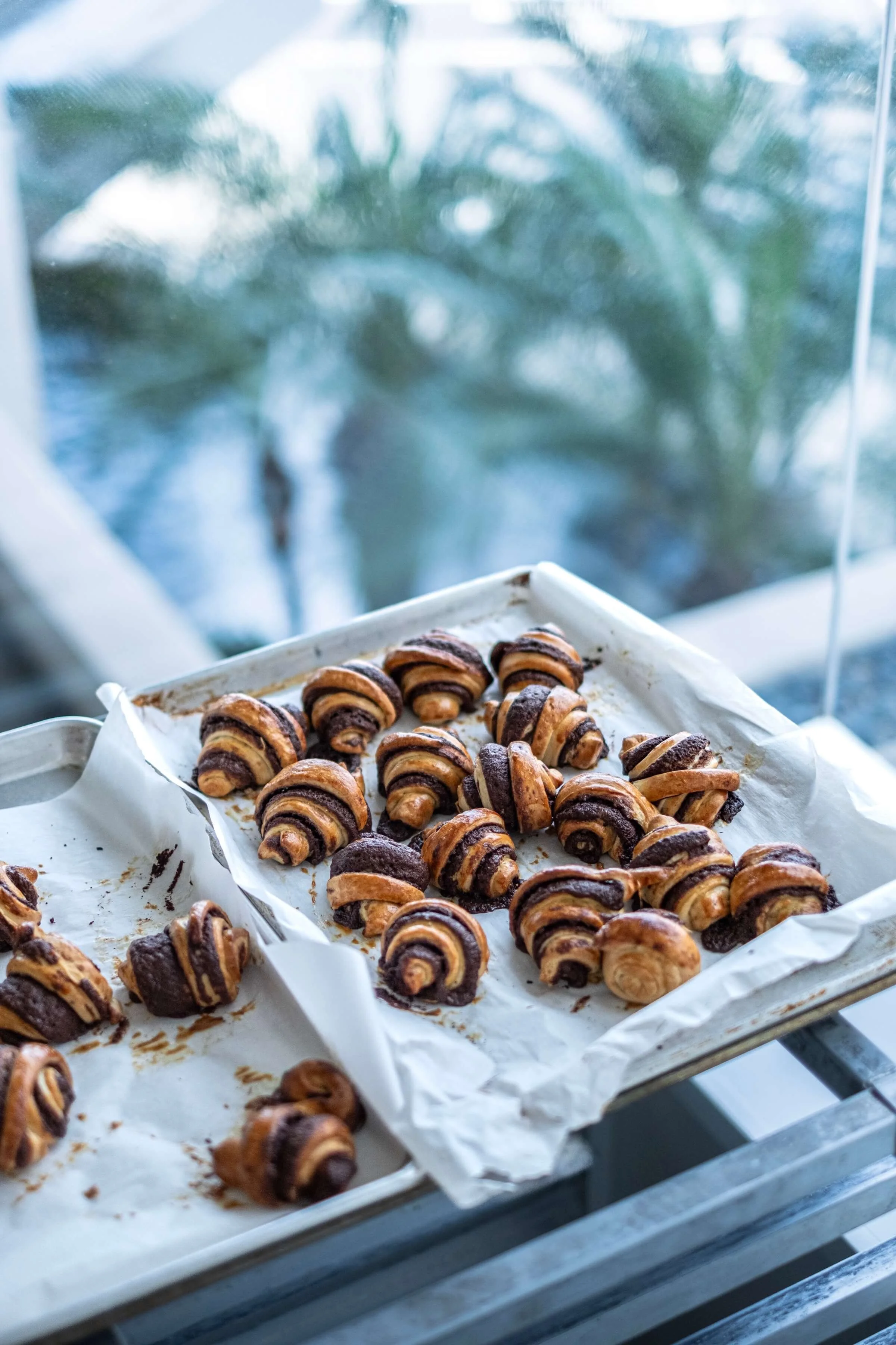 Baked croissants with chocolate filling on a baking sheet lined with parchment paper, with a blurred background of a window and greenery.