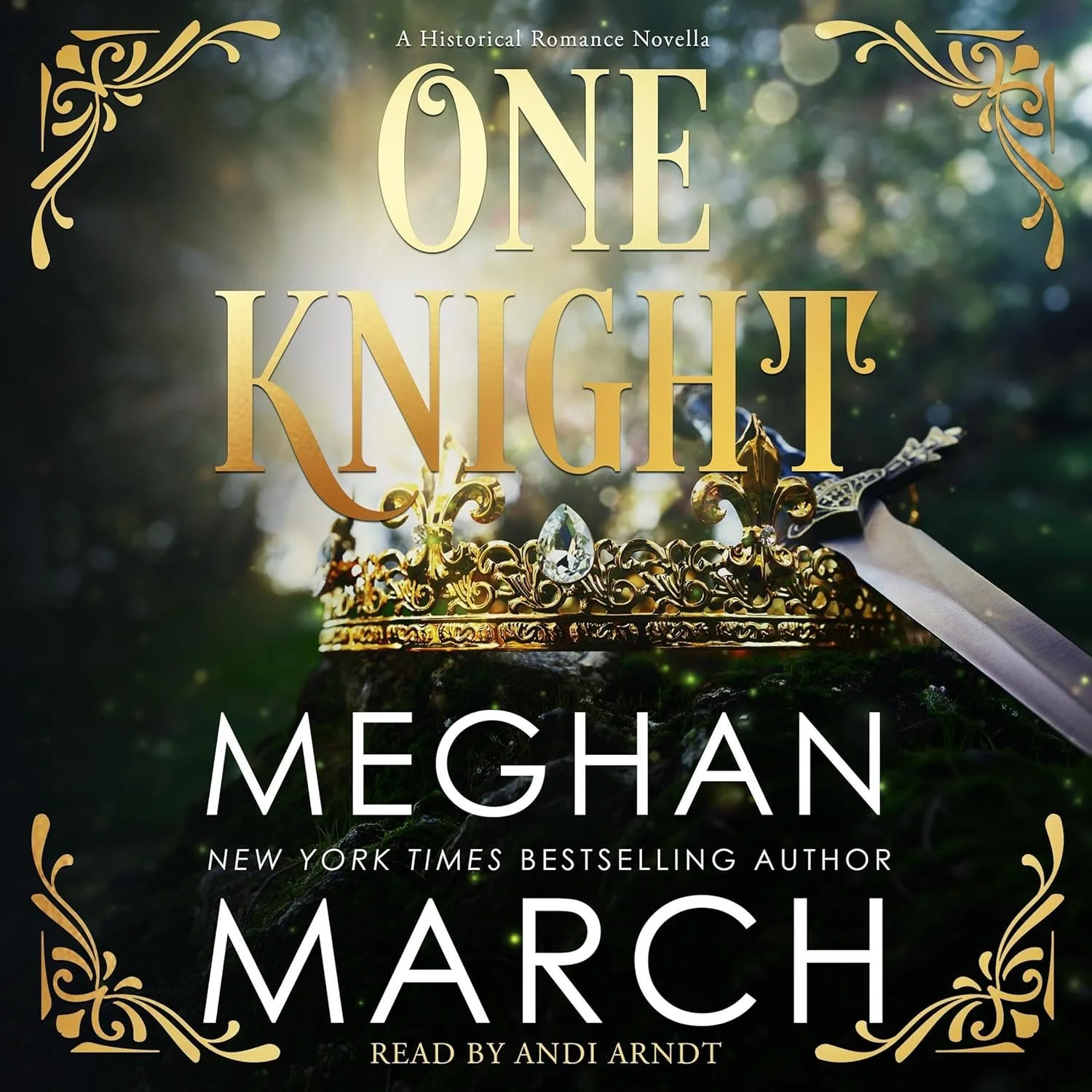 One Knight by Meghan March