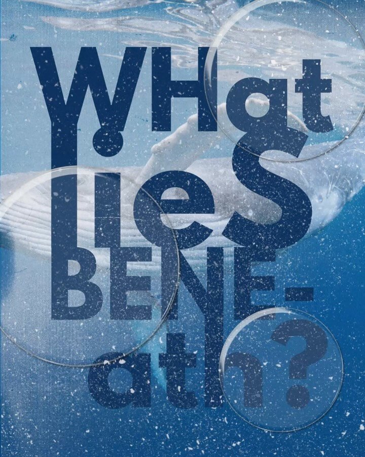 🐋 SURPRISE. SHE BREACHED. 🐋

We&rsquo;re not even going to pretend this was part of a normal business plan.

MOBY by Jessa Kane is officially coming to audio and the preorder is now LIVE. 🎧🔥

Narrated in duet by Samantha Brentmoor &amp; Robert Ha