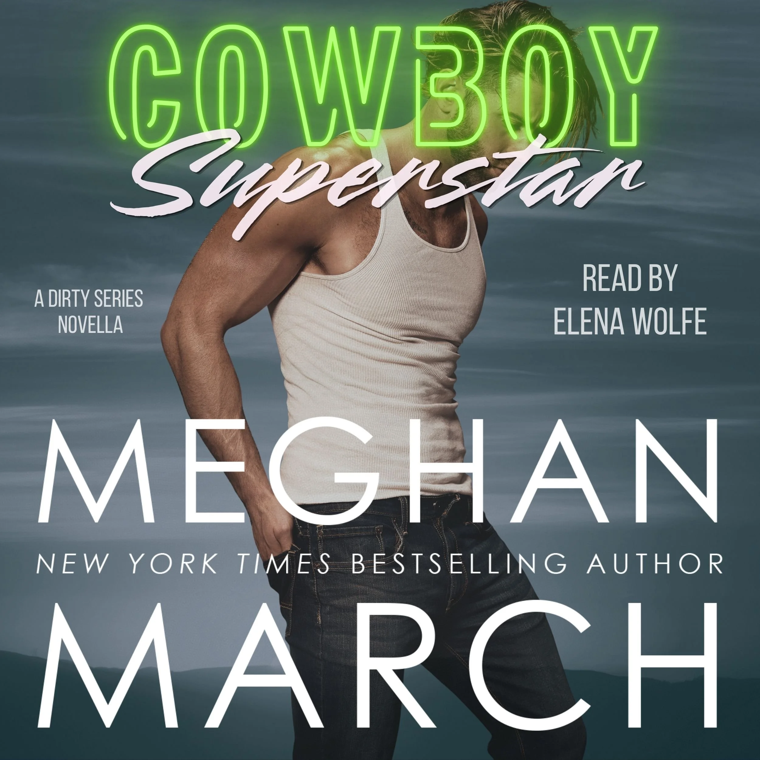 Cowboy Superstar by Meghan March