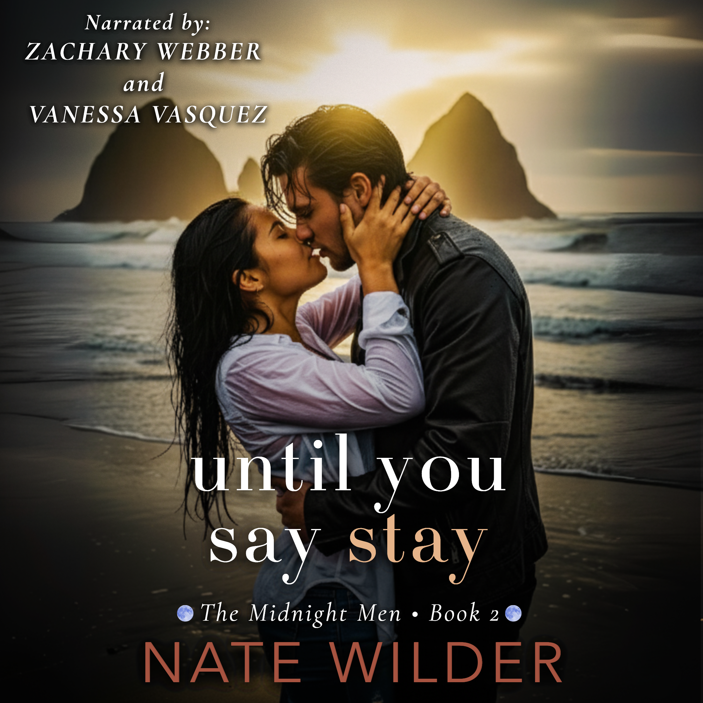 Until You Say Stay by Nate Wilder audiobook
