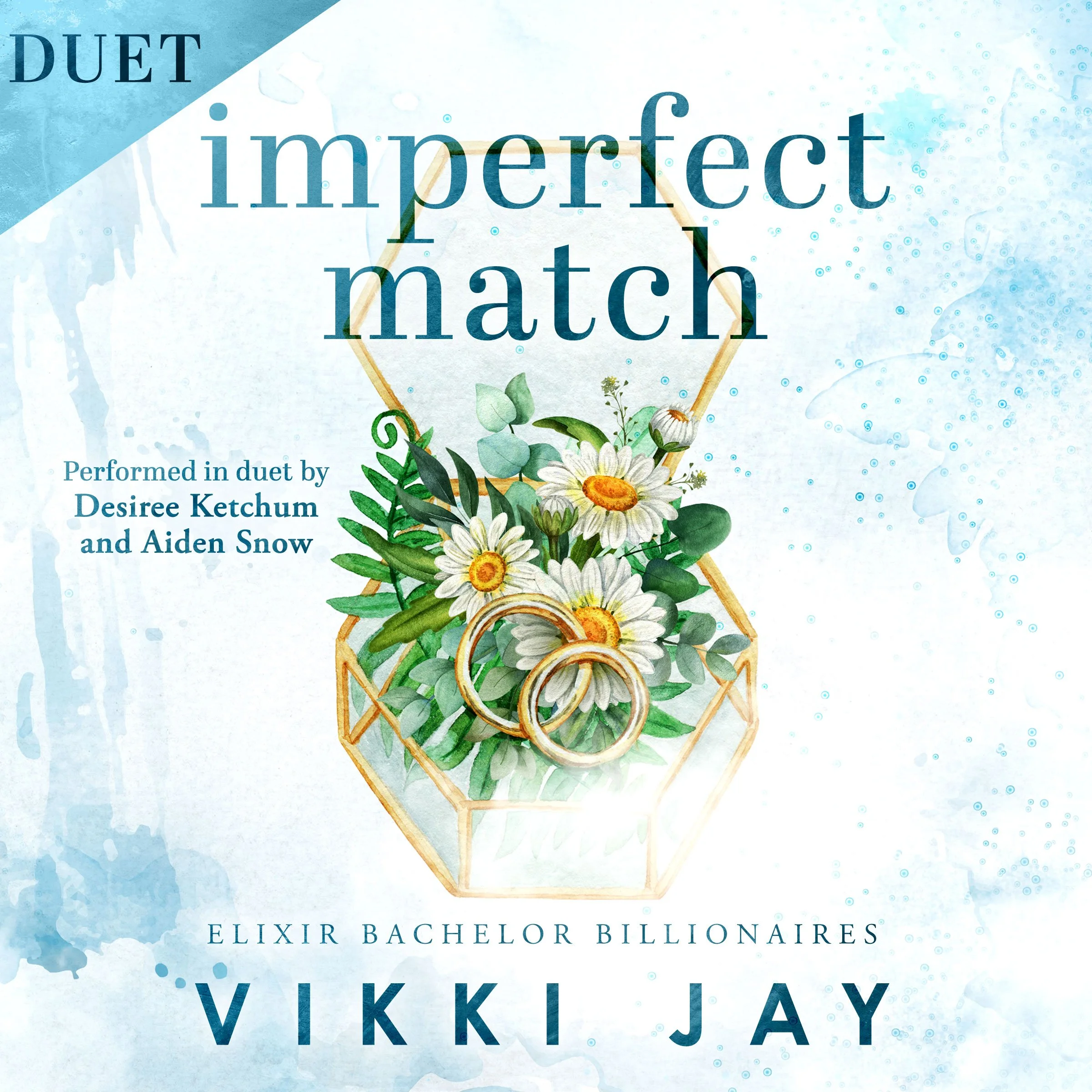 Imperfect Match by Vikki Jay