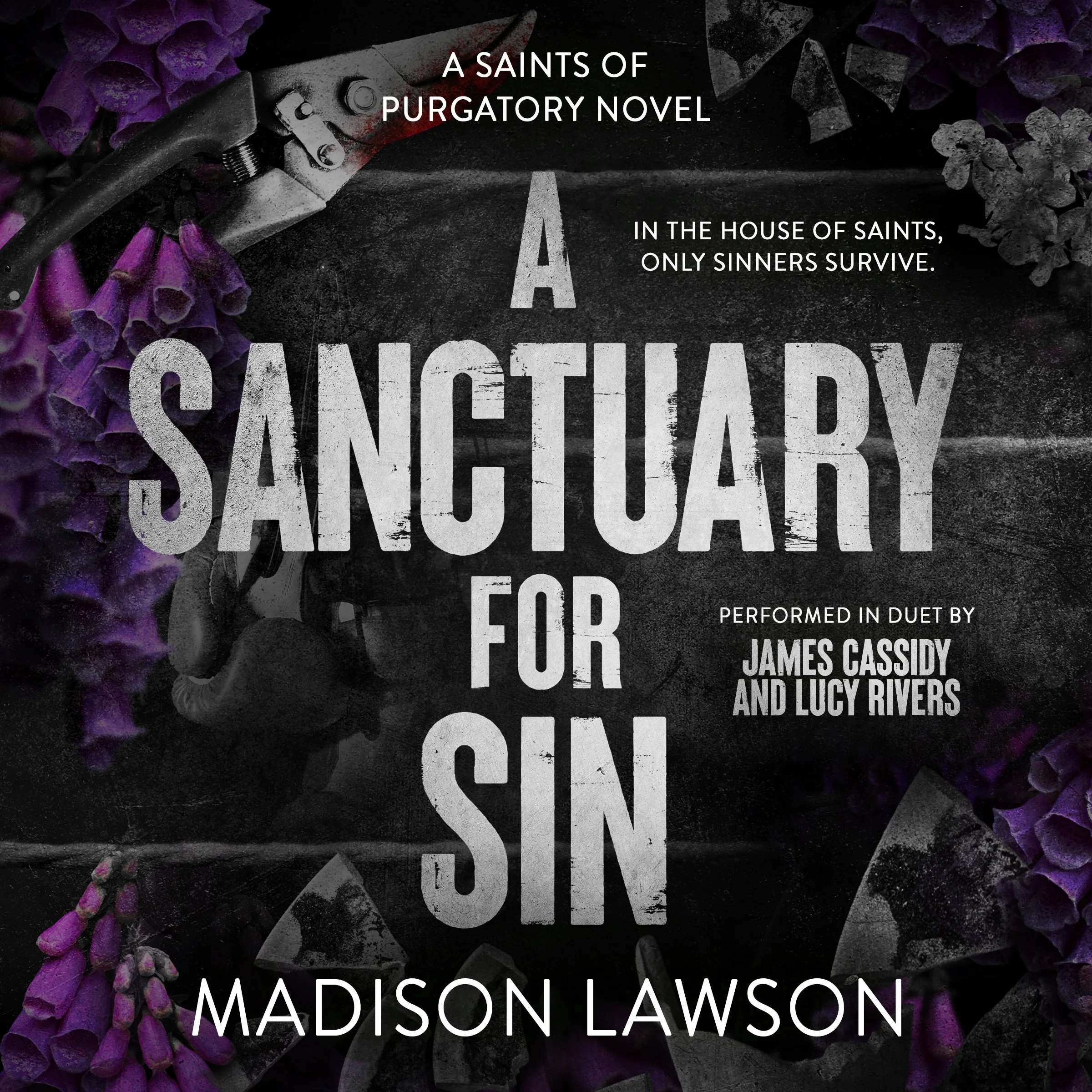 A Sanctuary for Sin by Madison Lawson Audiobook