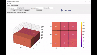 Pressure Matrix Visualizer for testing FSRs