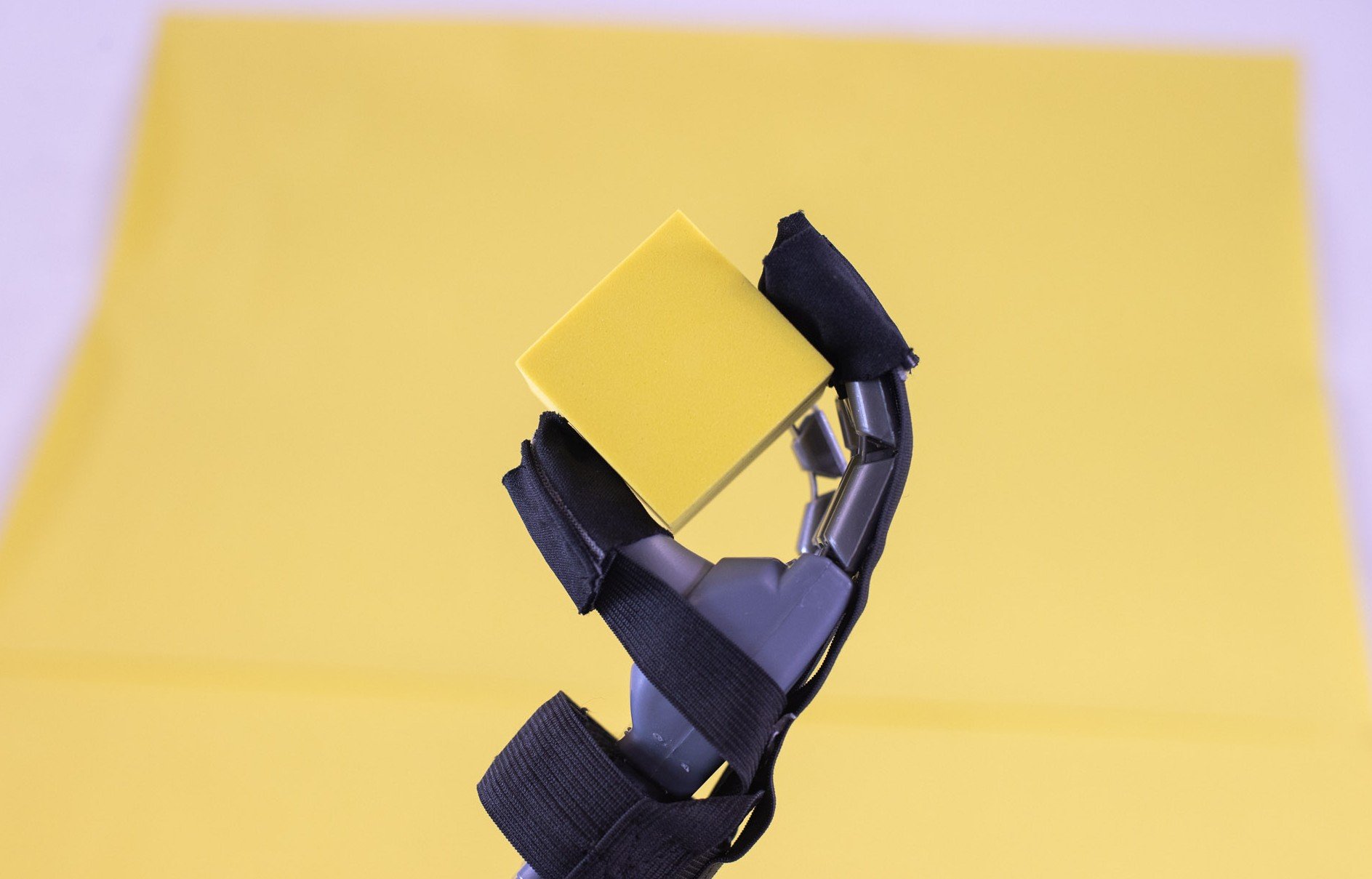 Flexible Electronics for Robotics