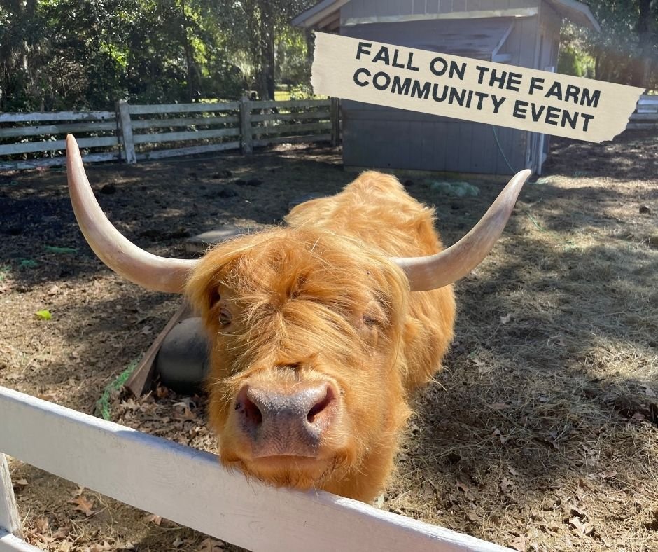 🍂 NEW DATE! Fall on the Farm is Moving to November 14! 🐴

Good things are worth the wait! 💛 EmployAbility's Fall on the Farm at Triple J Stables has been rescheduled to Saturday, November 14, from 10 AM to 12 PM!

Join us for a morning of farm adv