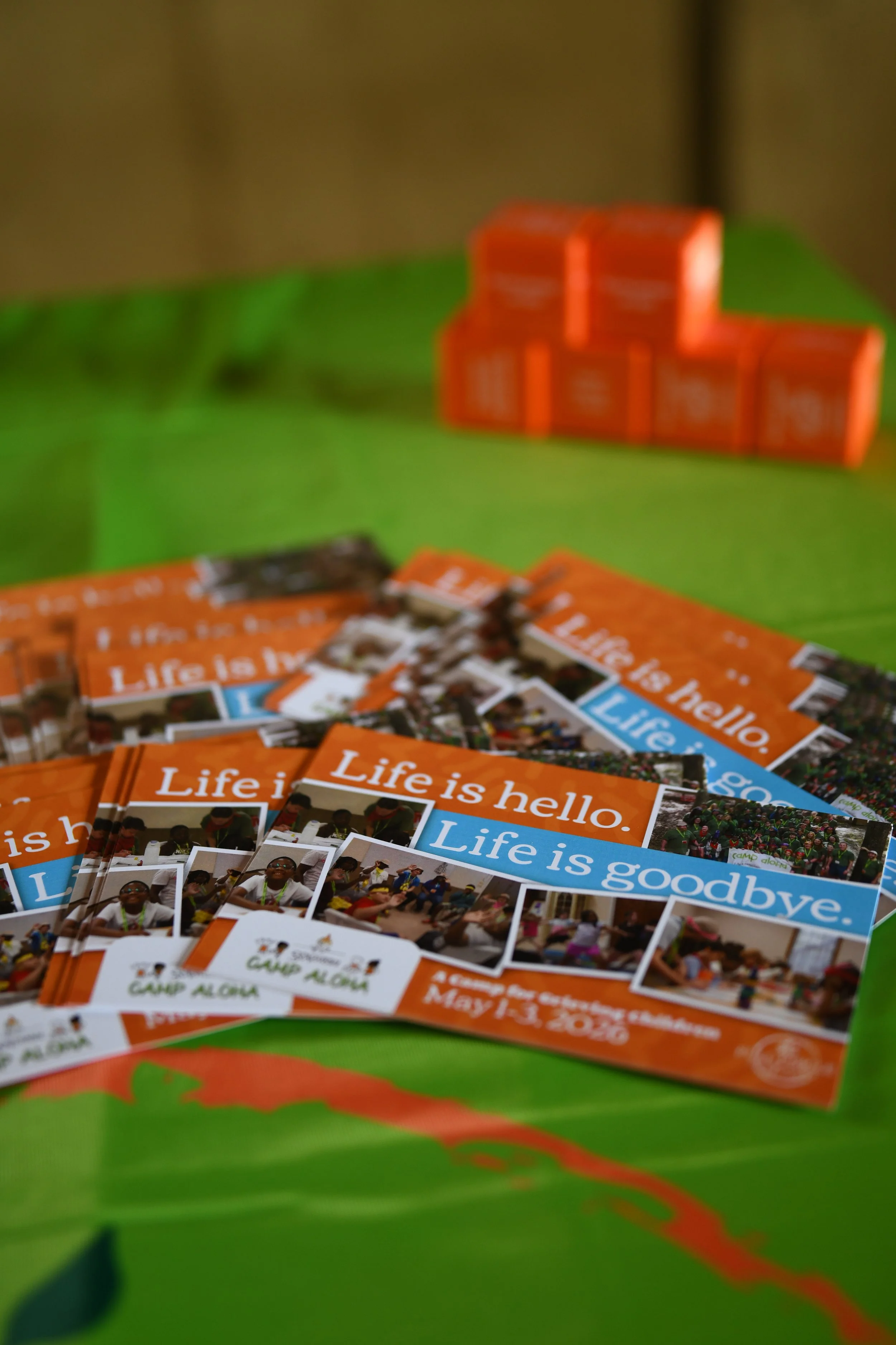 Non-Profit Staff Fair-22.jpg