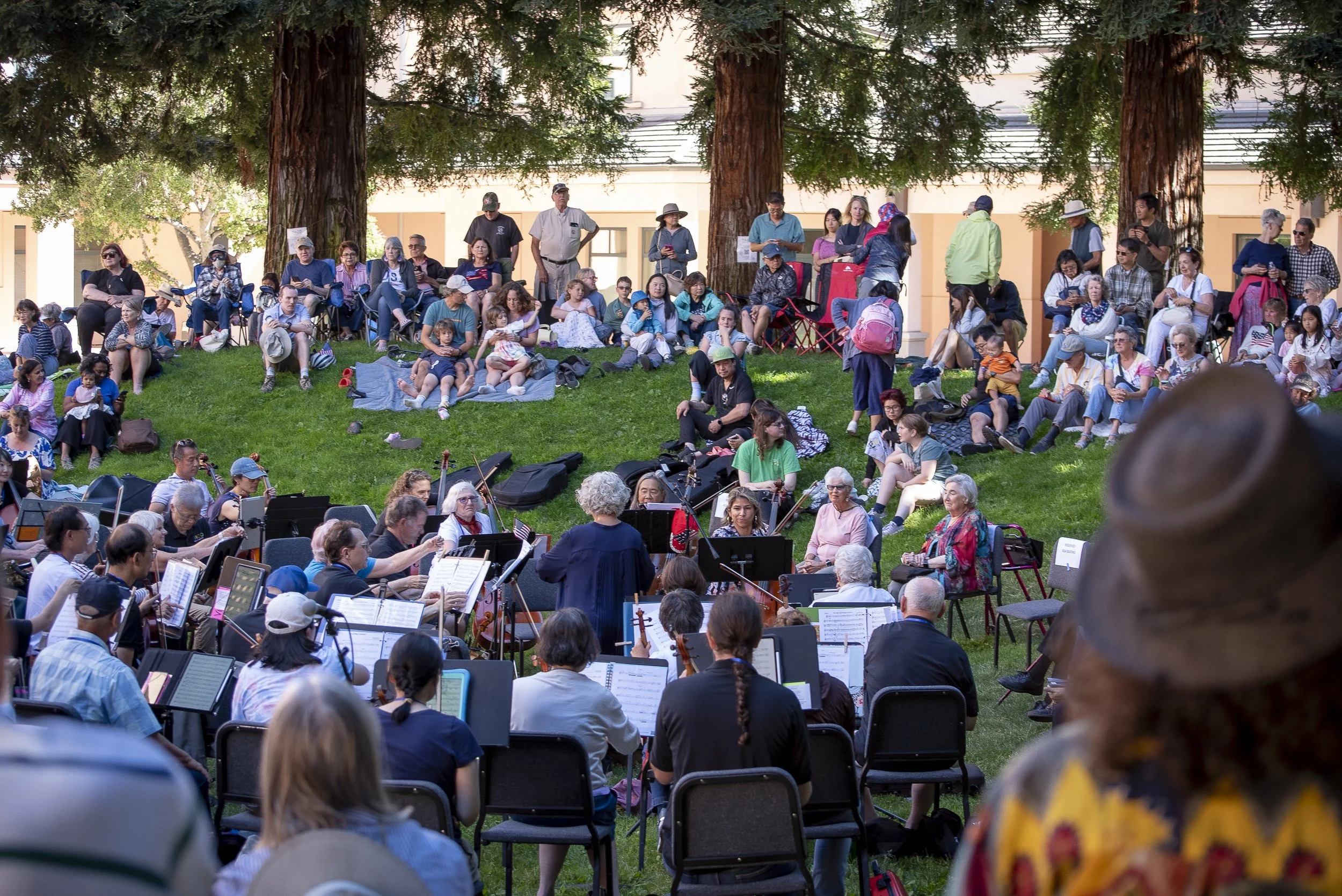 TACO in Pioneer Park-5815.jpg