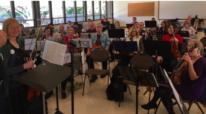 TACO on violinist.com