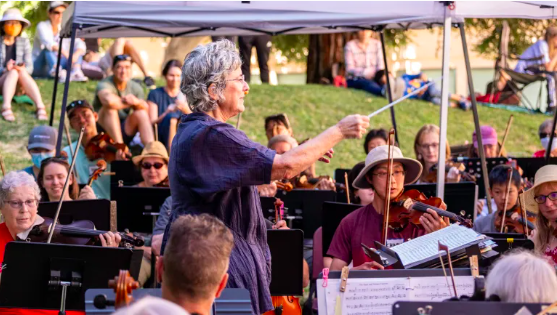 TACO in the midpeninsula post