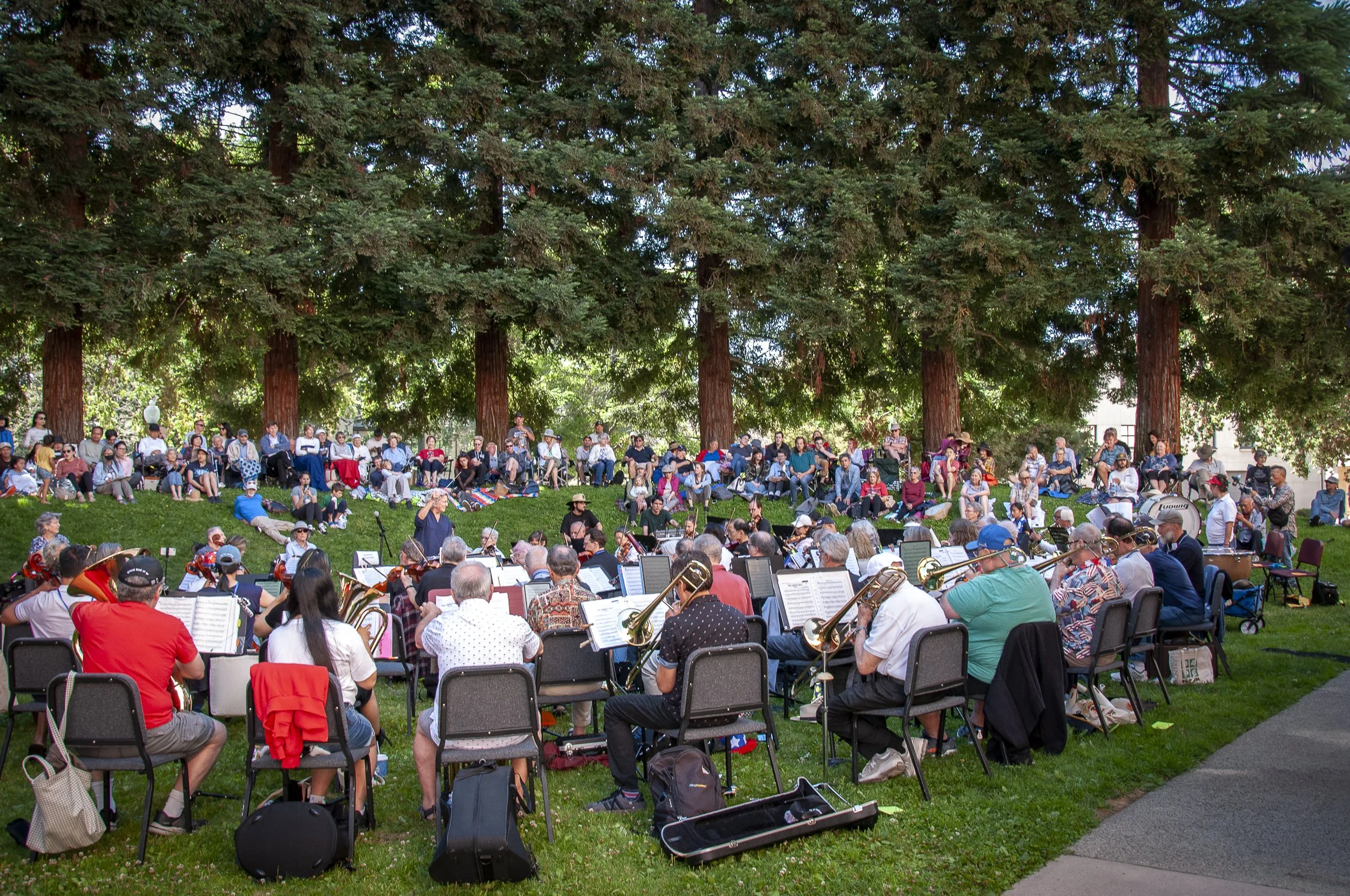 TACO in Pioneer Park-7740.jpg