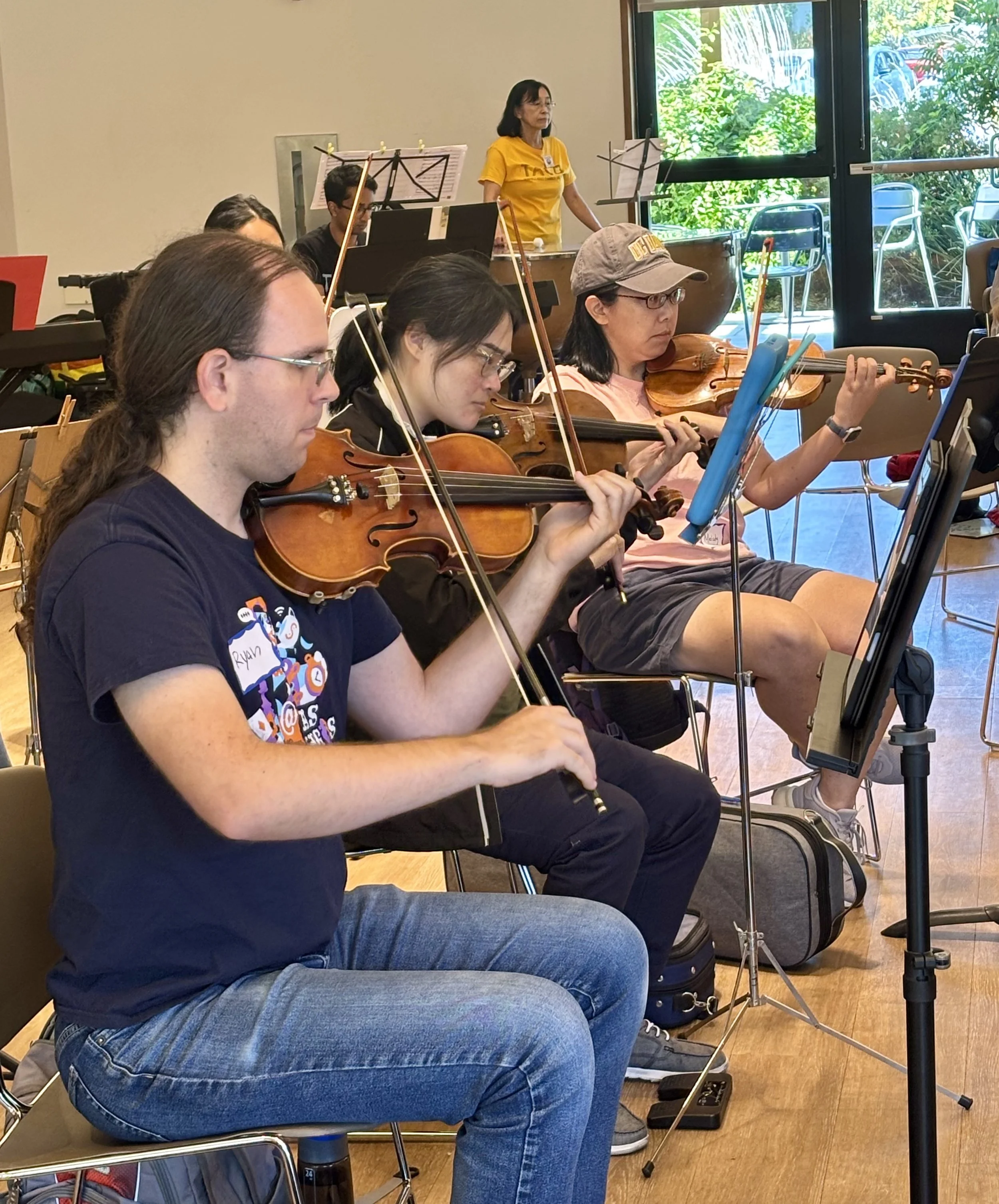 violins.jpeg