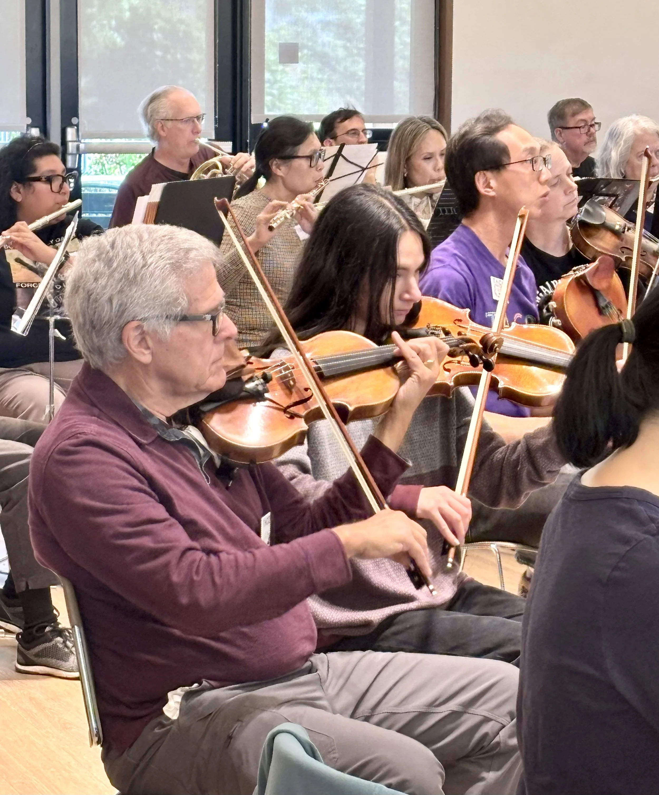 4.26 violin.jpg