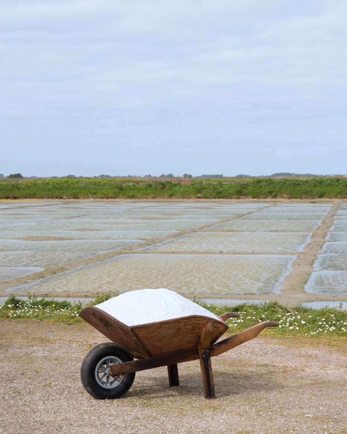Article sur le métier de saunier écrit par Justine Nerini pour Îlots Magazine. À la rencontre de Philippe Petitgas dans les marais salants de Bonne Pogne.