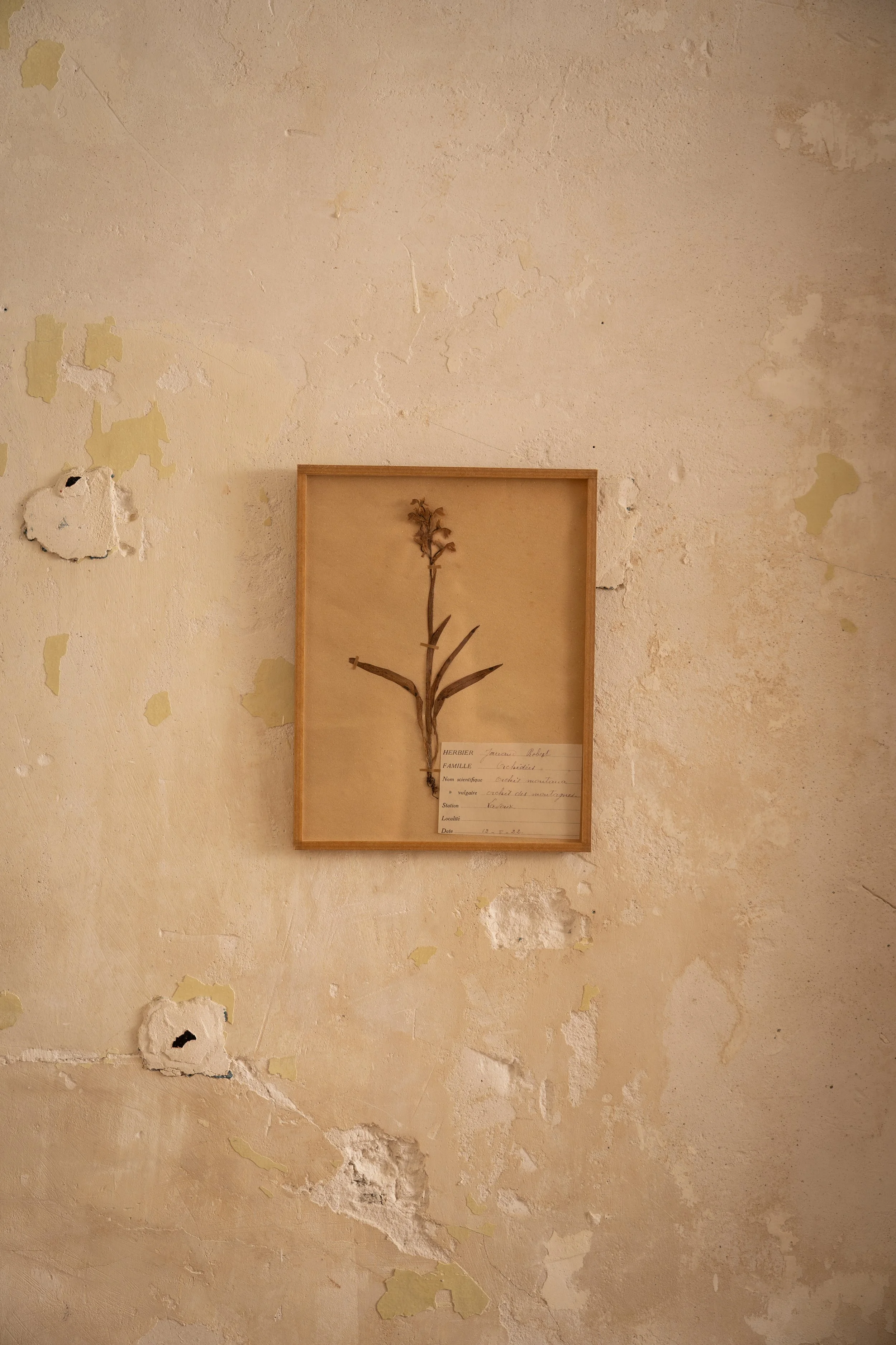 Bar-povera-©Justine-Nerini