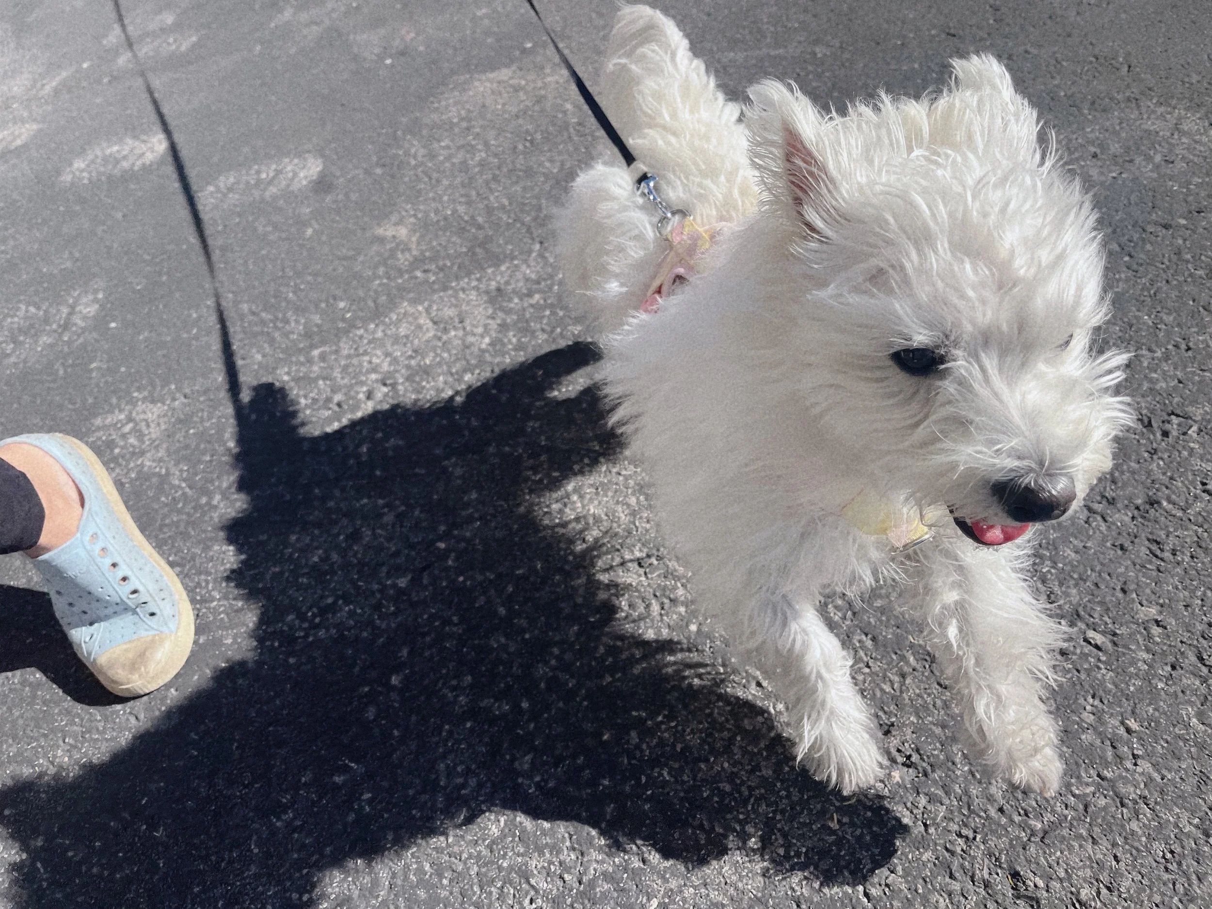 2025，慢慢变好的这一年 :)