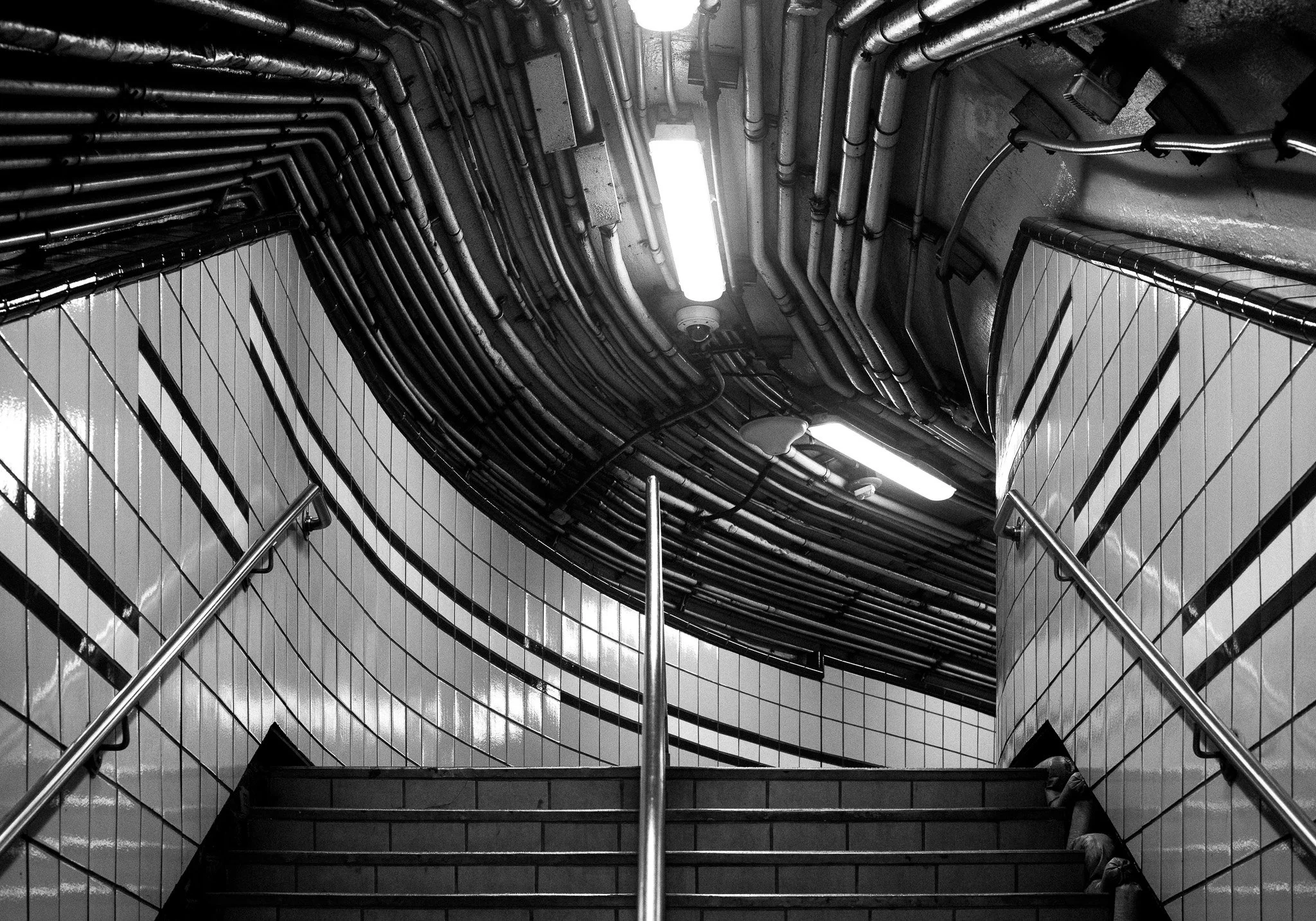 DSC_0733-Edit.jpg