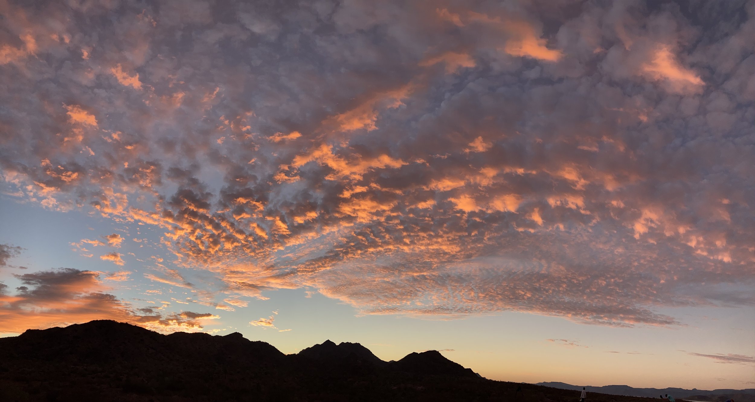 Poems from Baja 2019