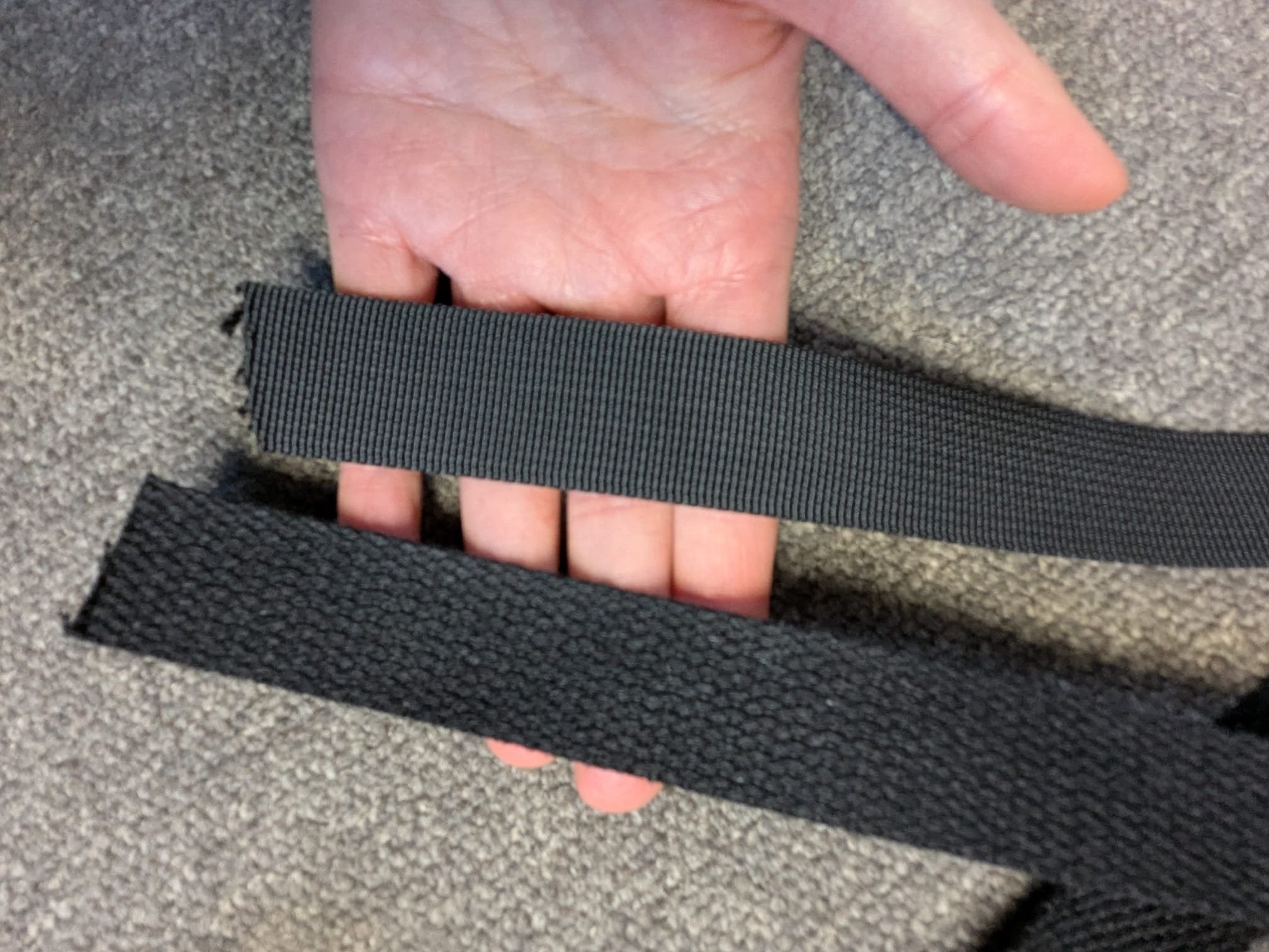 straps for nelly.jpeg