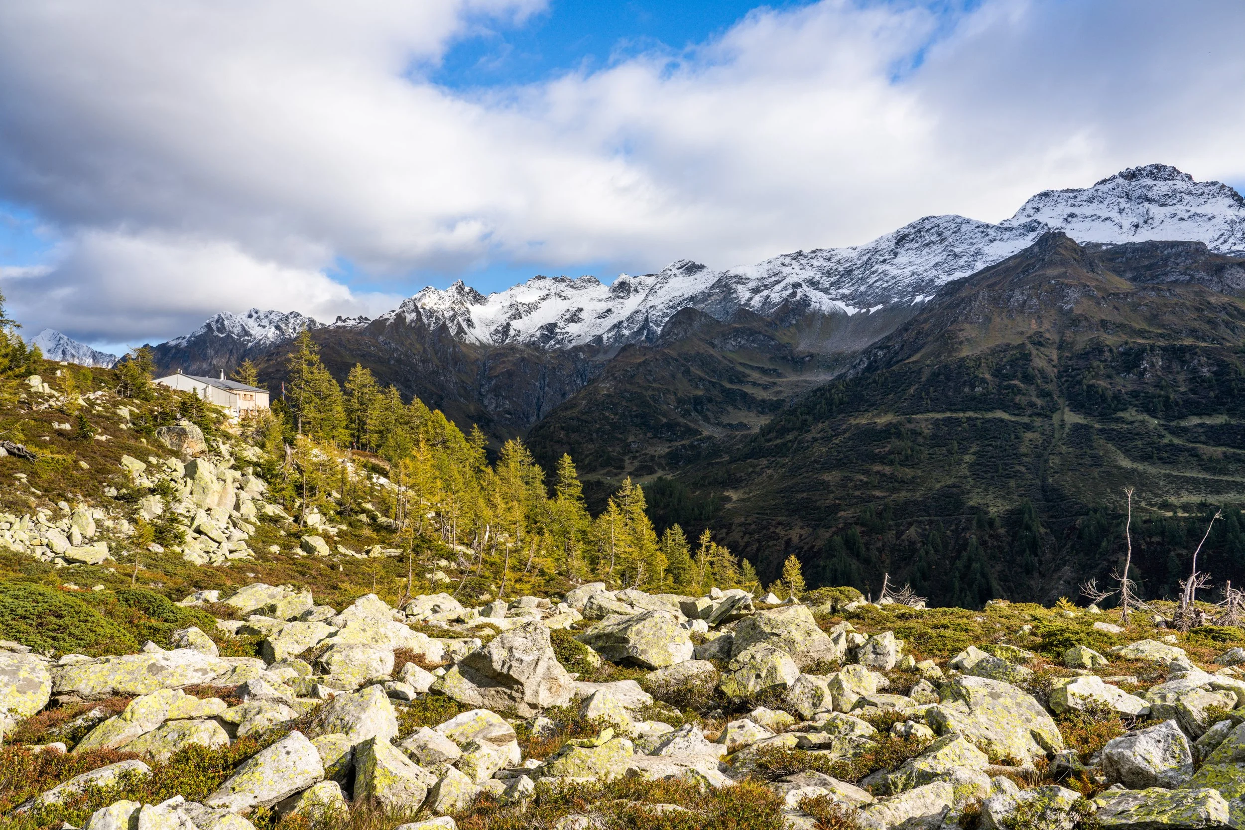 LANDSCAPE