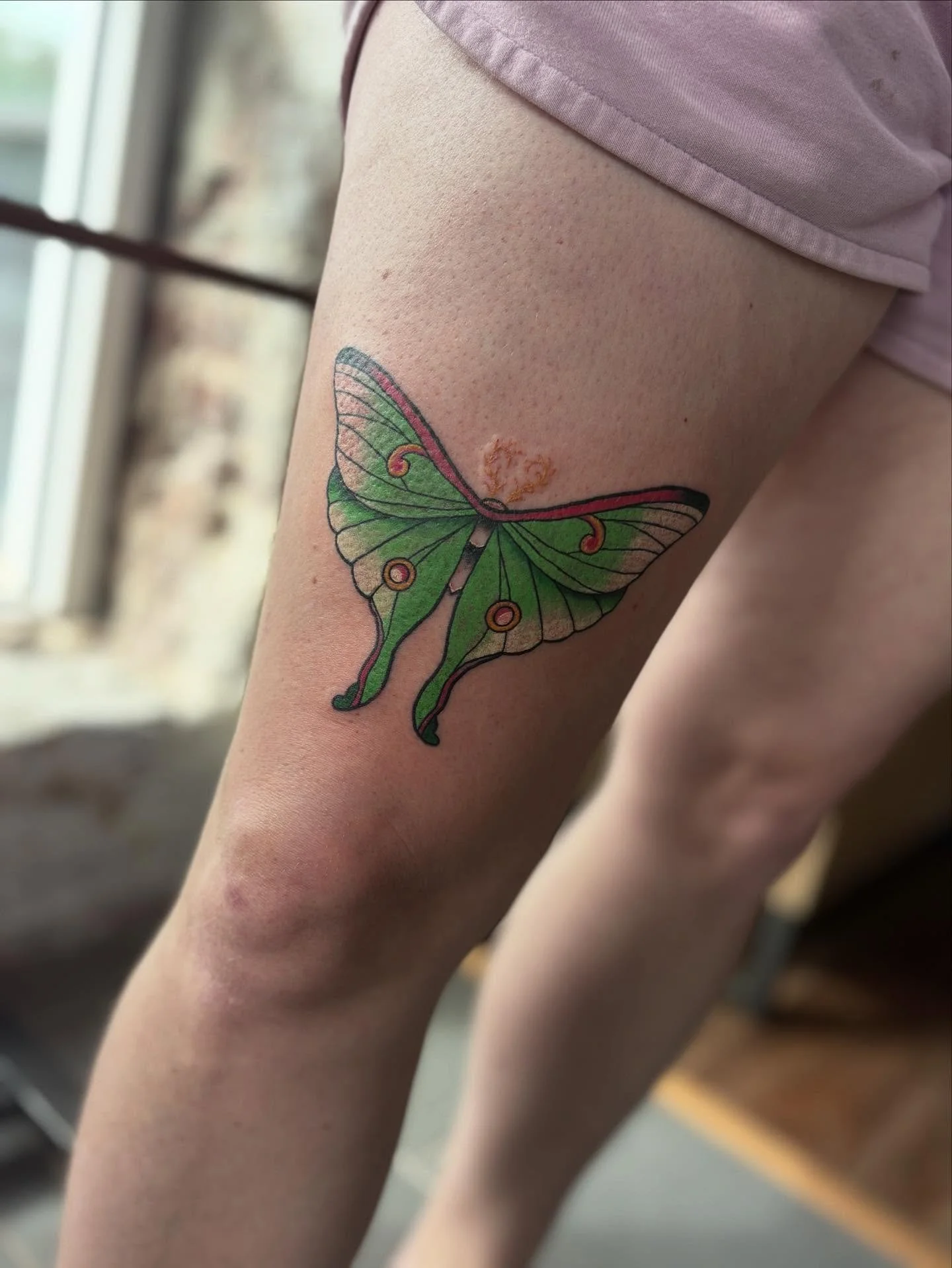 Luna Moth on an old friend! Thank u Bekah!!
I&rsquo;m booking for the rest of the year. Message me your ideas or check out my flash in the highlights 🖤🌈 #charlottetattoos #lunamothtattoo