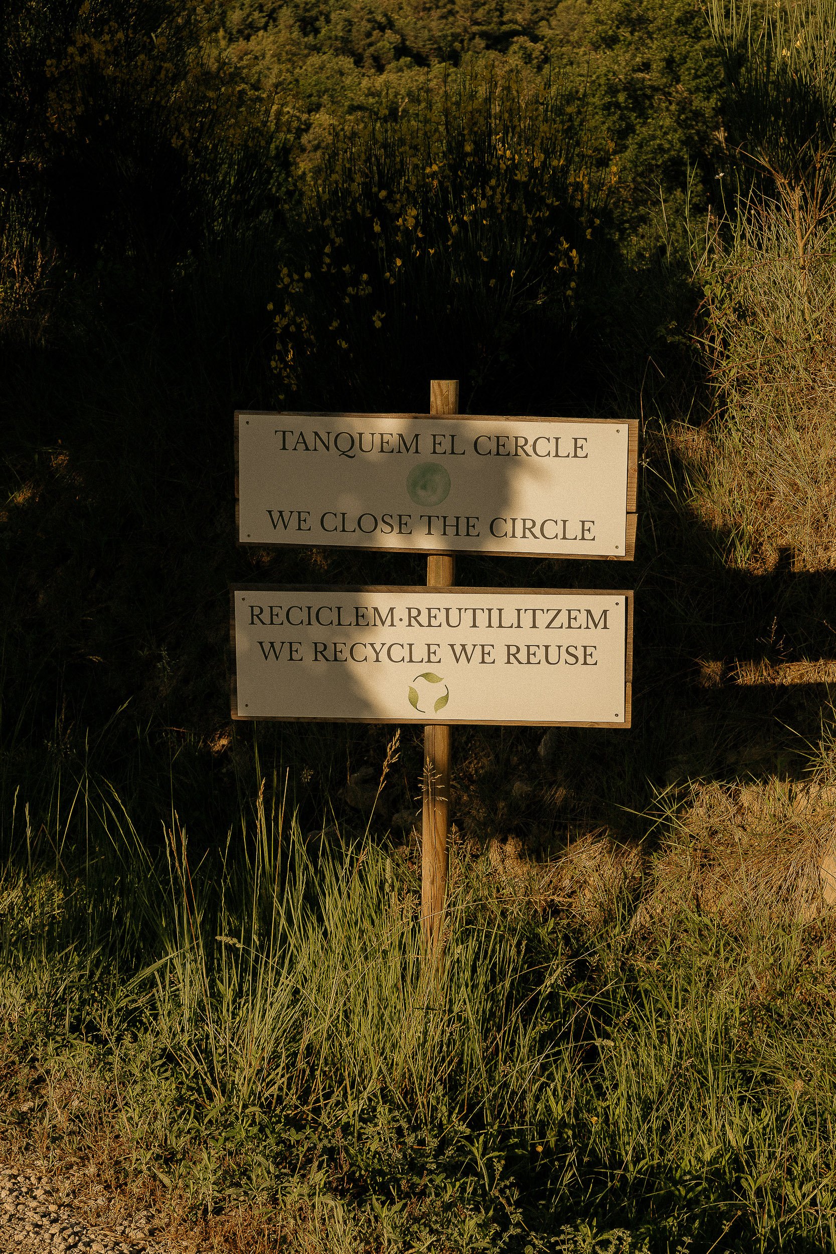 0106_CanBuch_Web-26.jpg