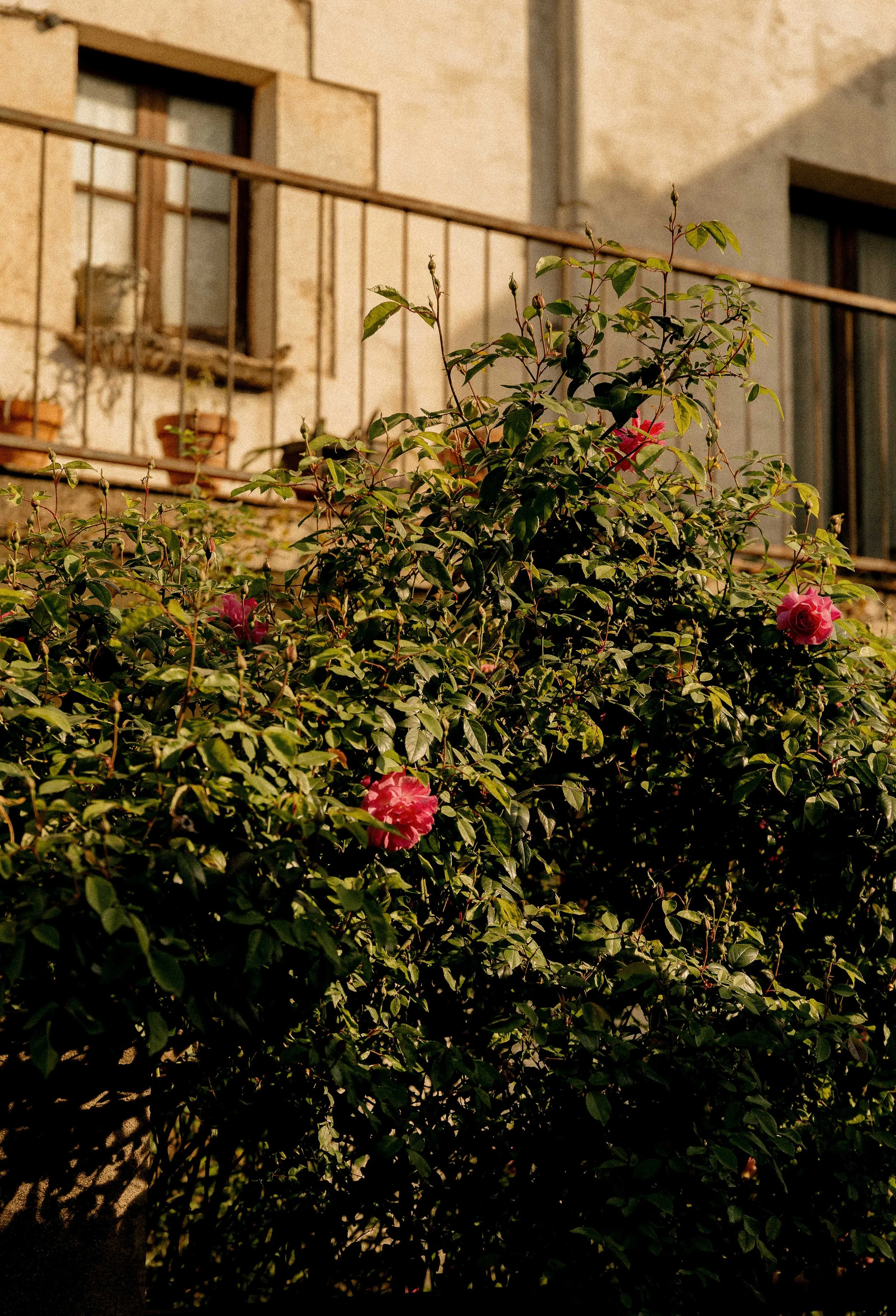 LohodiHomes_Web-18.jpg