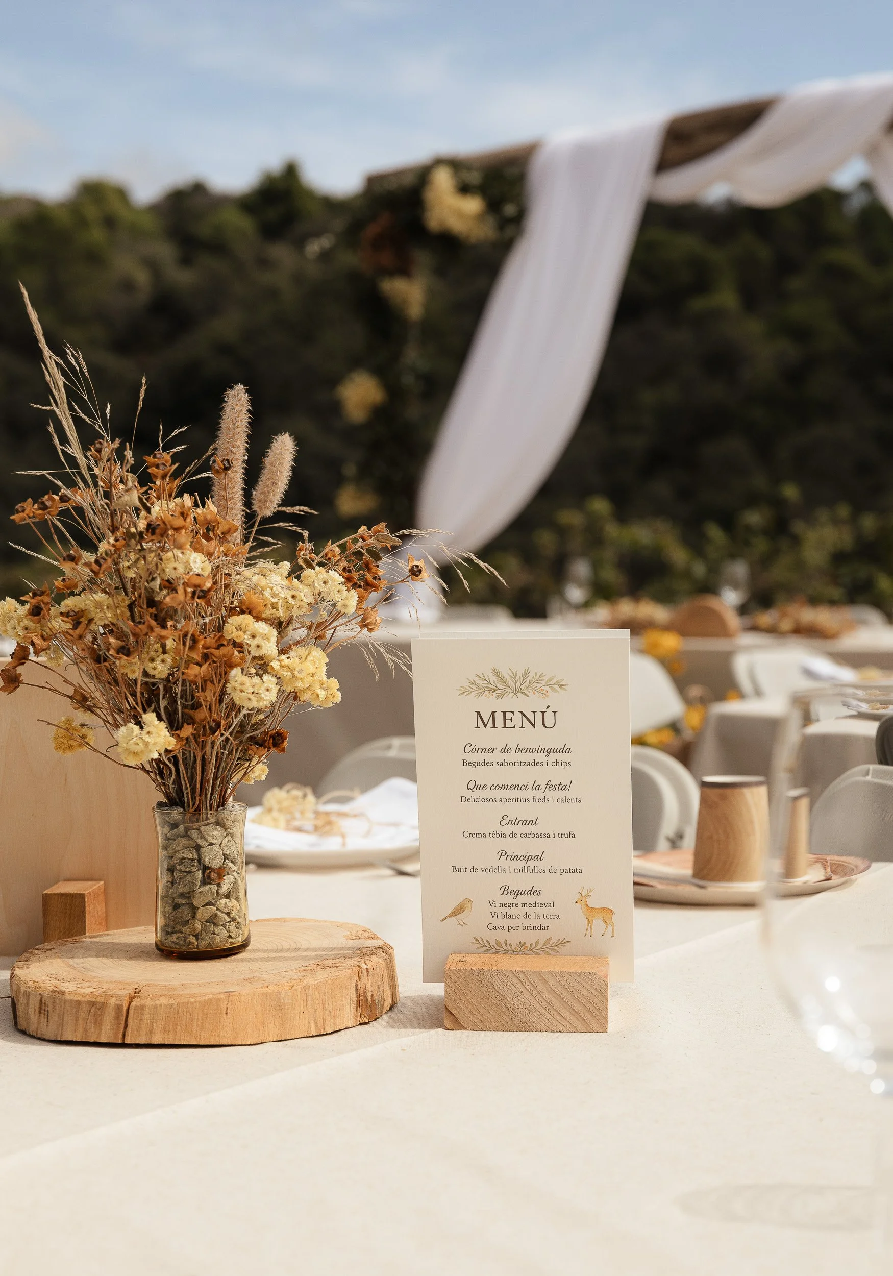 Setembre 2025 Boda Jordi Laura-35.jpg