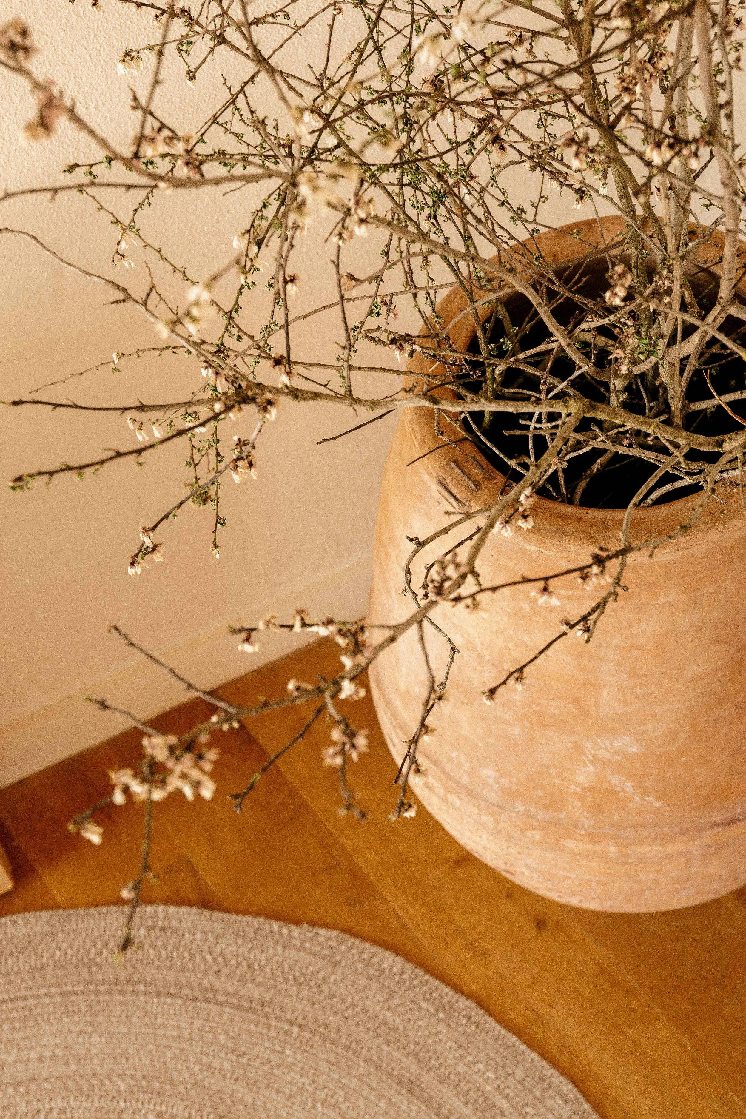 LohodiHomes_Web-45.jpg