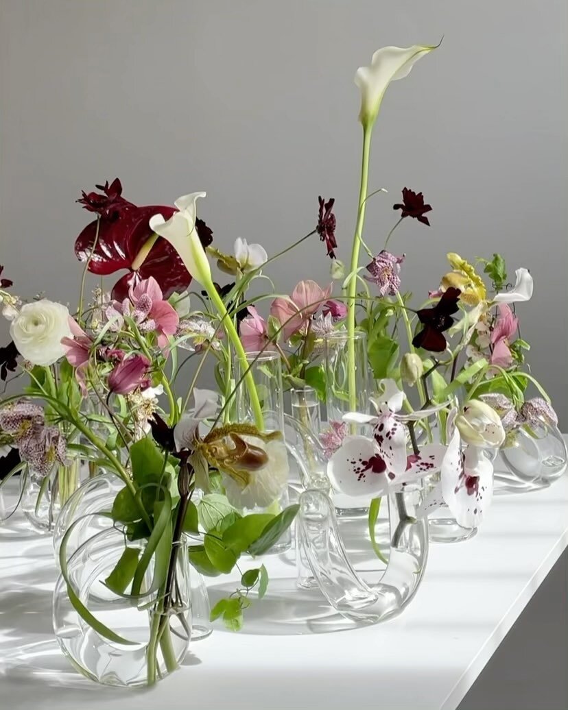 Dancing cosmos, vining clematis, freckled orchids &amp; more fragile blooms sunbathing in my favorite squiggle vases〰️