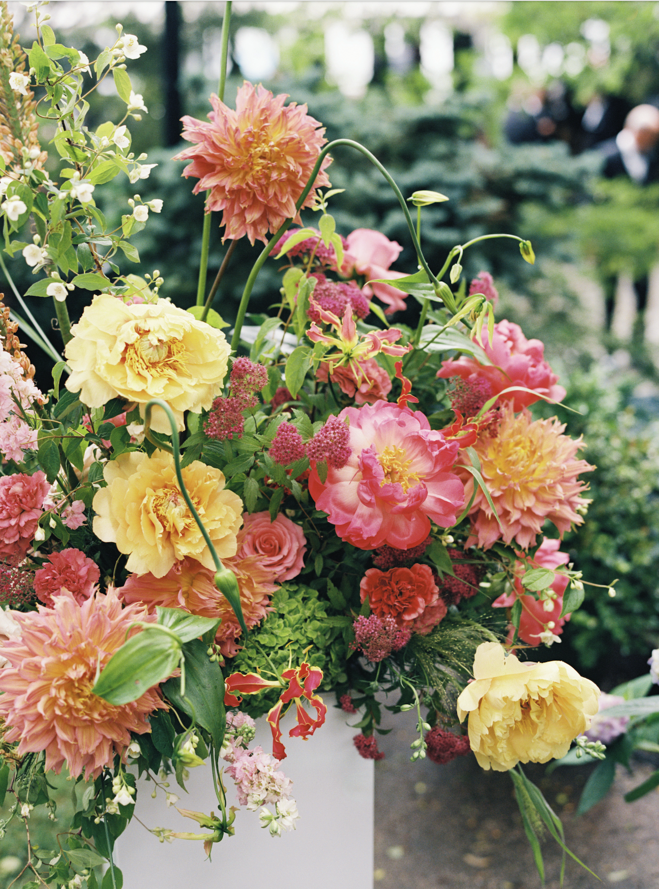 Screenshot 2026-01-26 at 11.31.56 AM.png