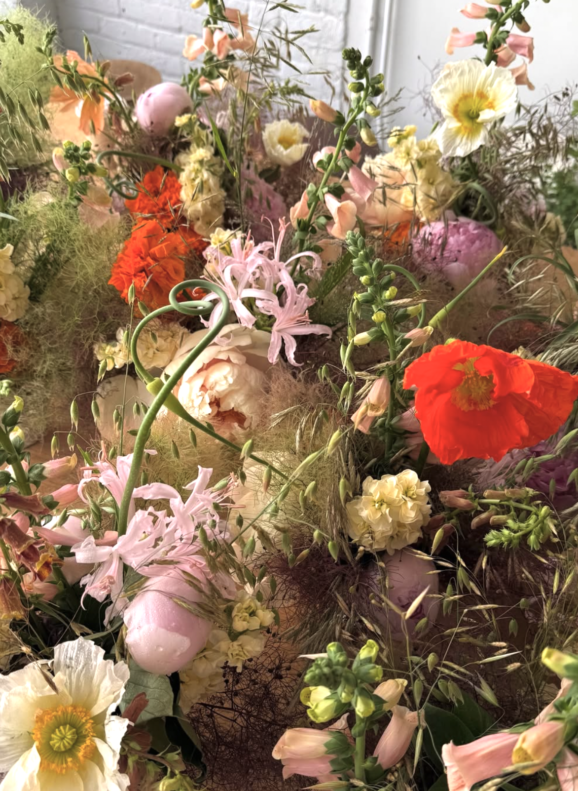 Screenshot 2026-03-06 at 11.46.31 AM.png