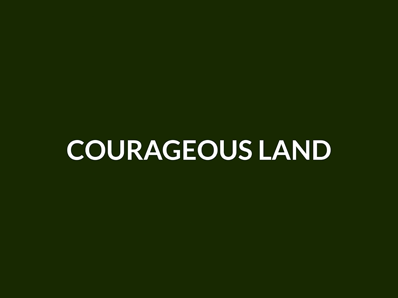 StartupsCOV_08_CourageousLand.png