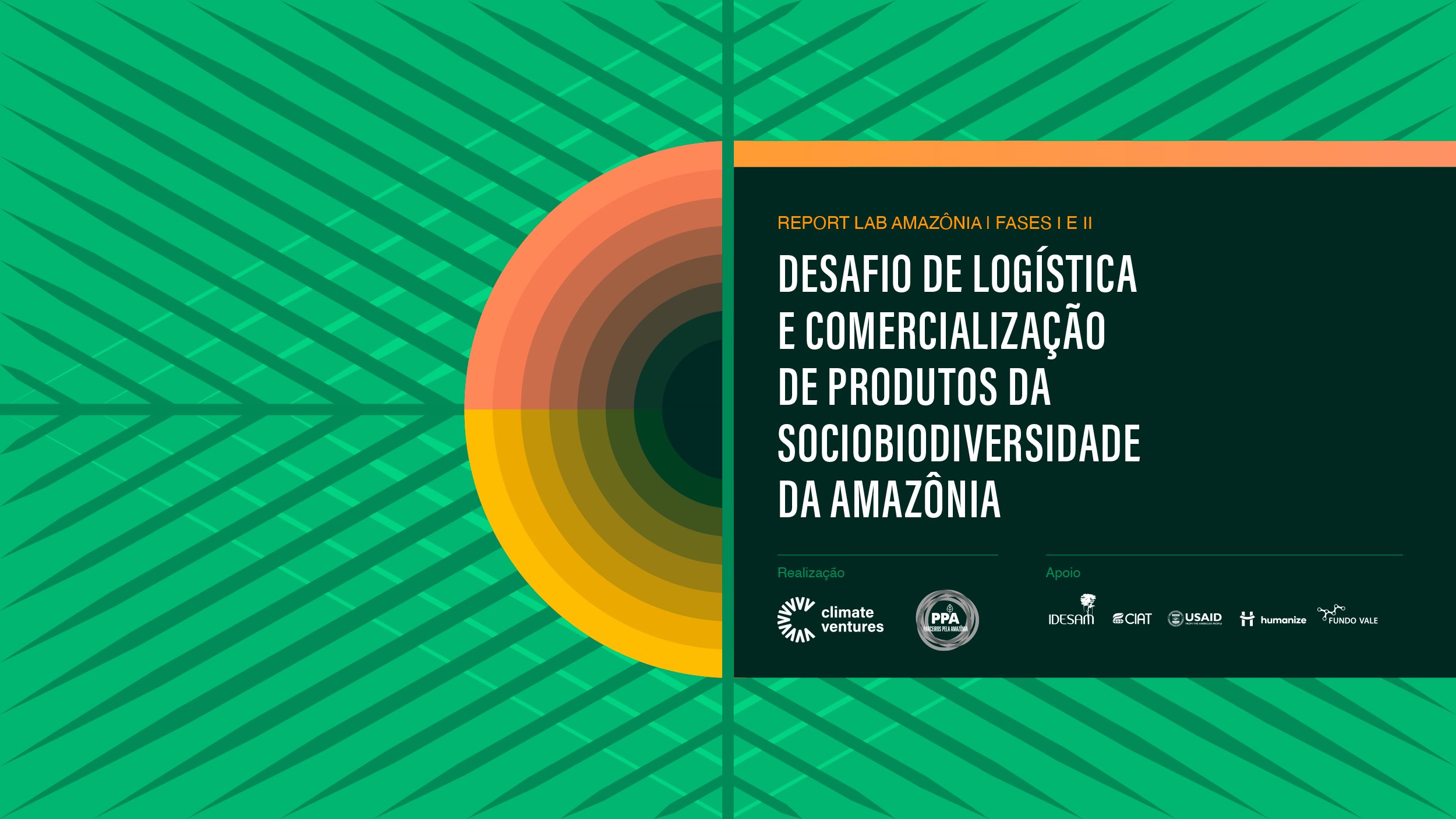 Lab Amazônia: Relatório 2020