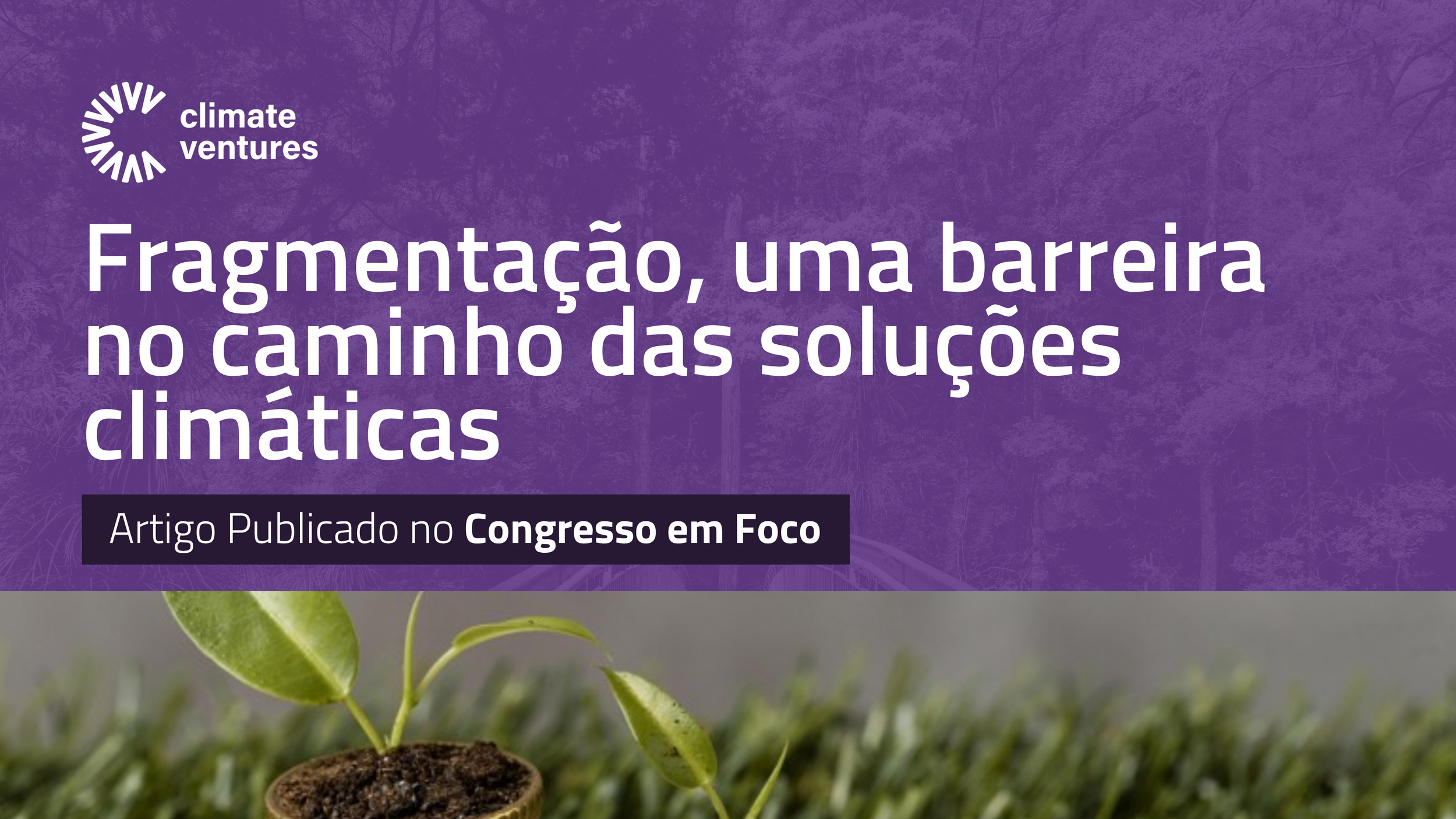 Fragmentação, uma barreira no caminho das soluções climáticas