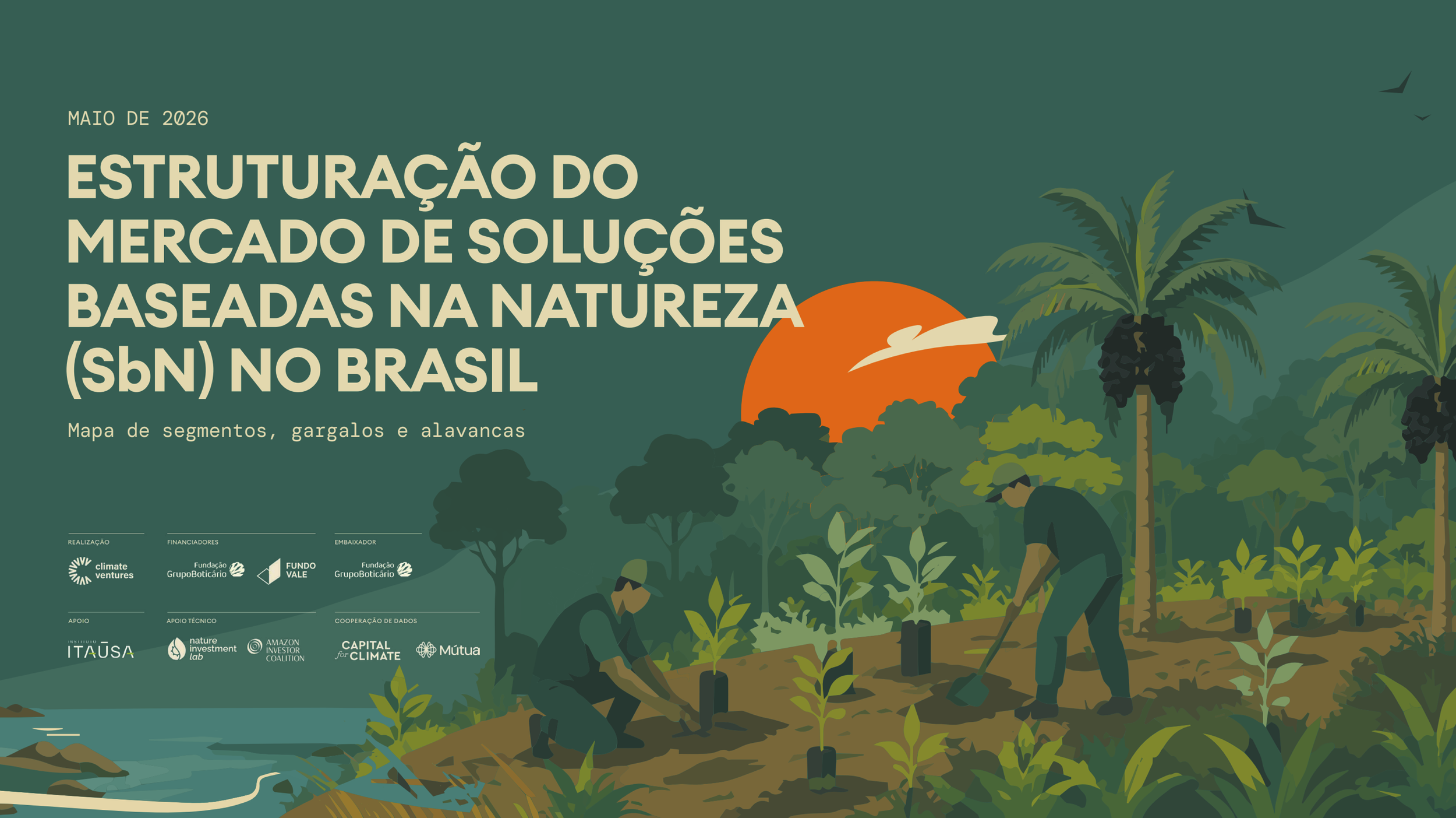Estruturação do Mercado de SbN no Brasil