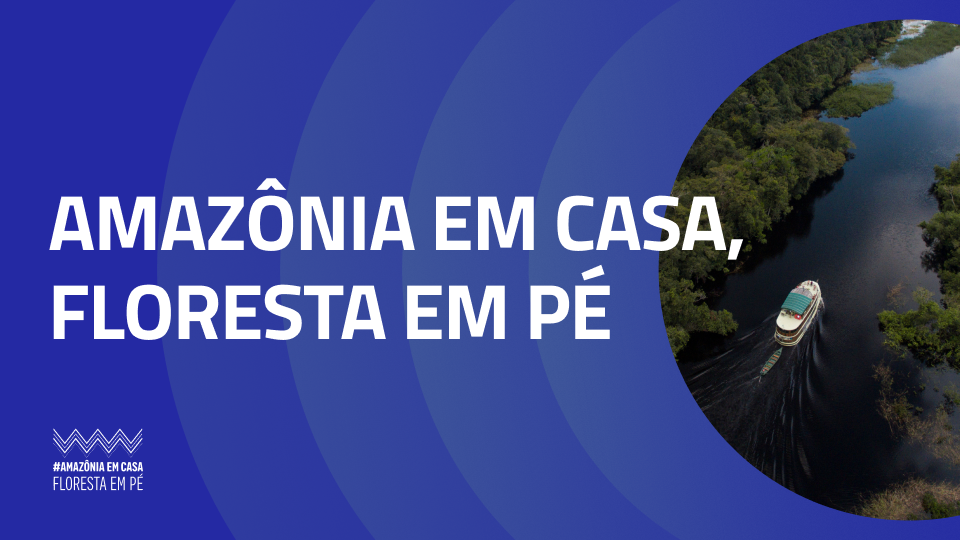 Amazônia em Casa, Floresta em Pé