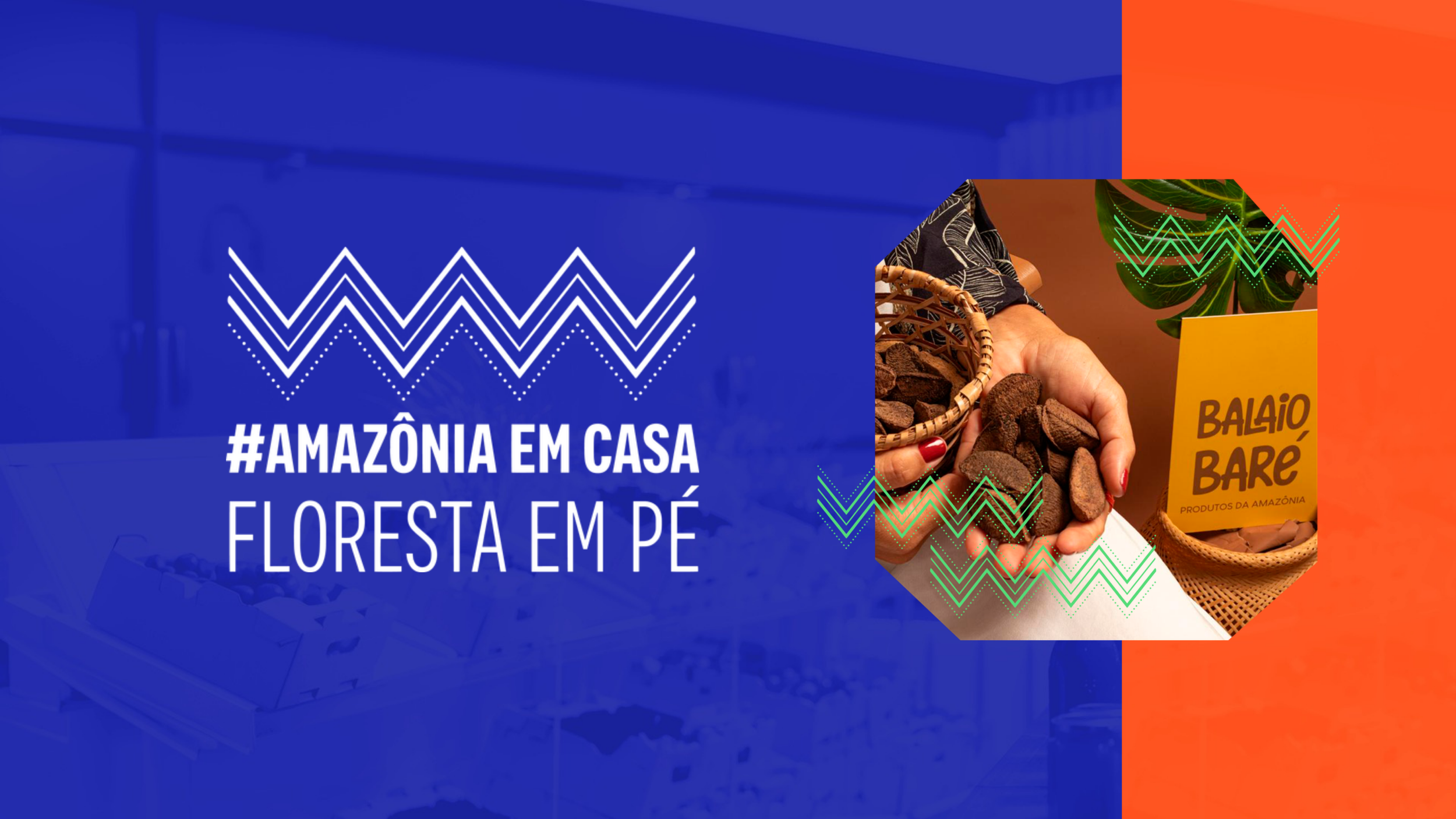 Amazônia em Casa, Floresta em Pé