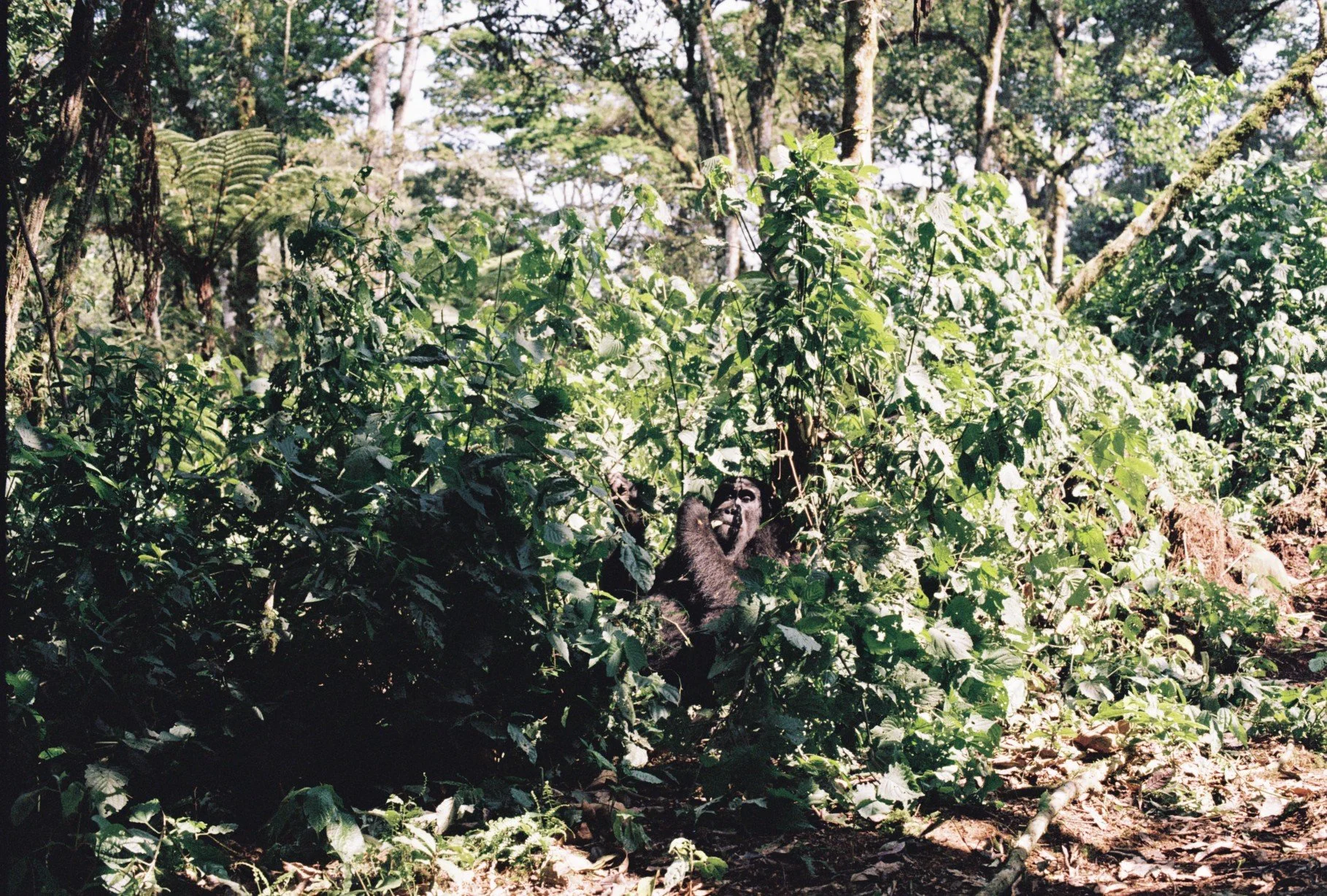000024.JPG