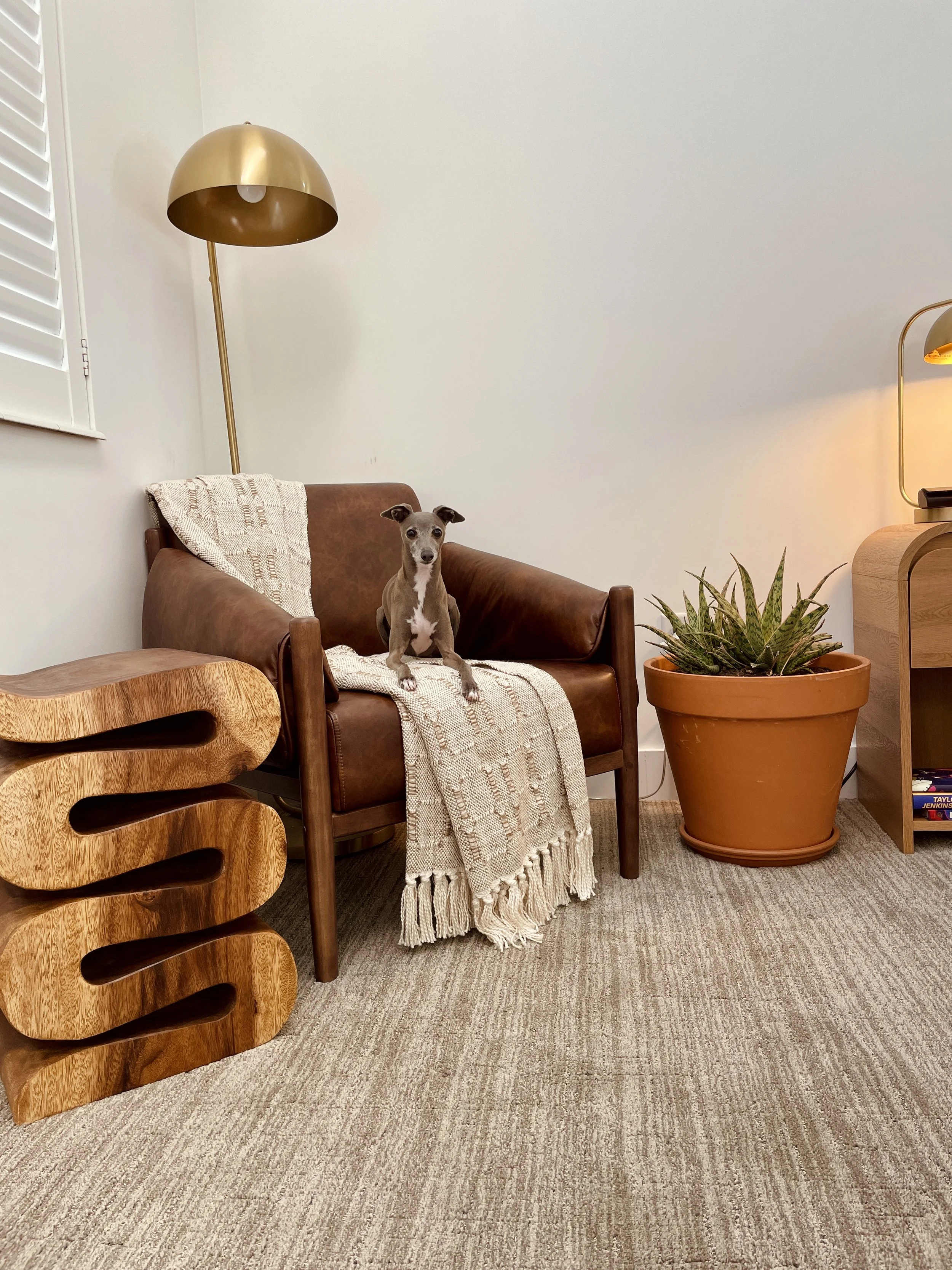 A cozy living room corner with a brown leather sofa, a wooden side table, and a large potted aloe vera plant. A tan and white woven throw blanket is draped over the sofa. There are two tall brass-colored floor lamps and a window with white shutters.