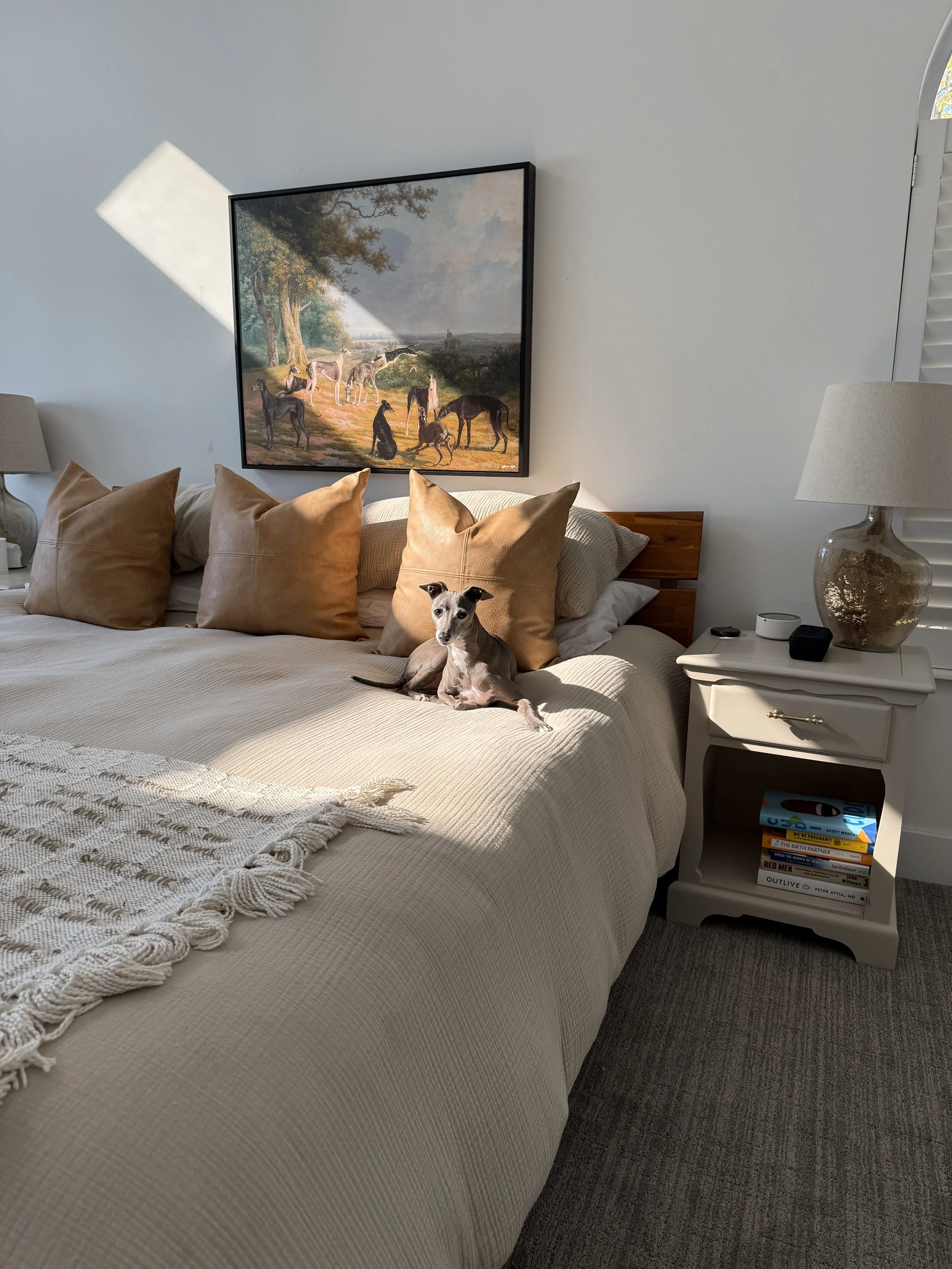 A bedroom with a bed that has beige pillows and a white knitted throw blanket, a small dog sitting on the bed, a bedside table with a lamp, books, and a white and gold handle drawer, a painting of a group of dogs and trees on the wall, and sunlight c