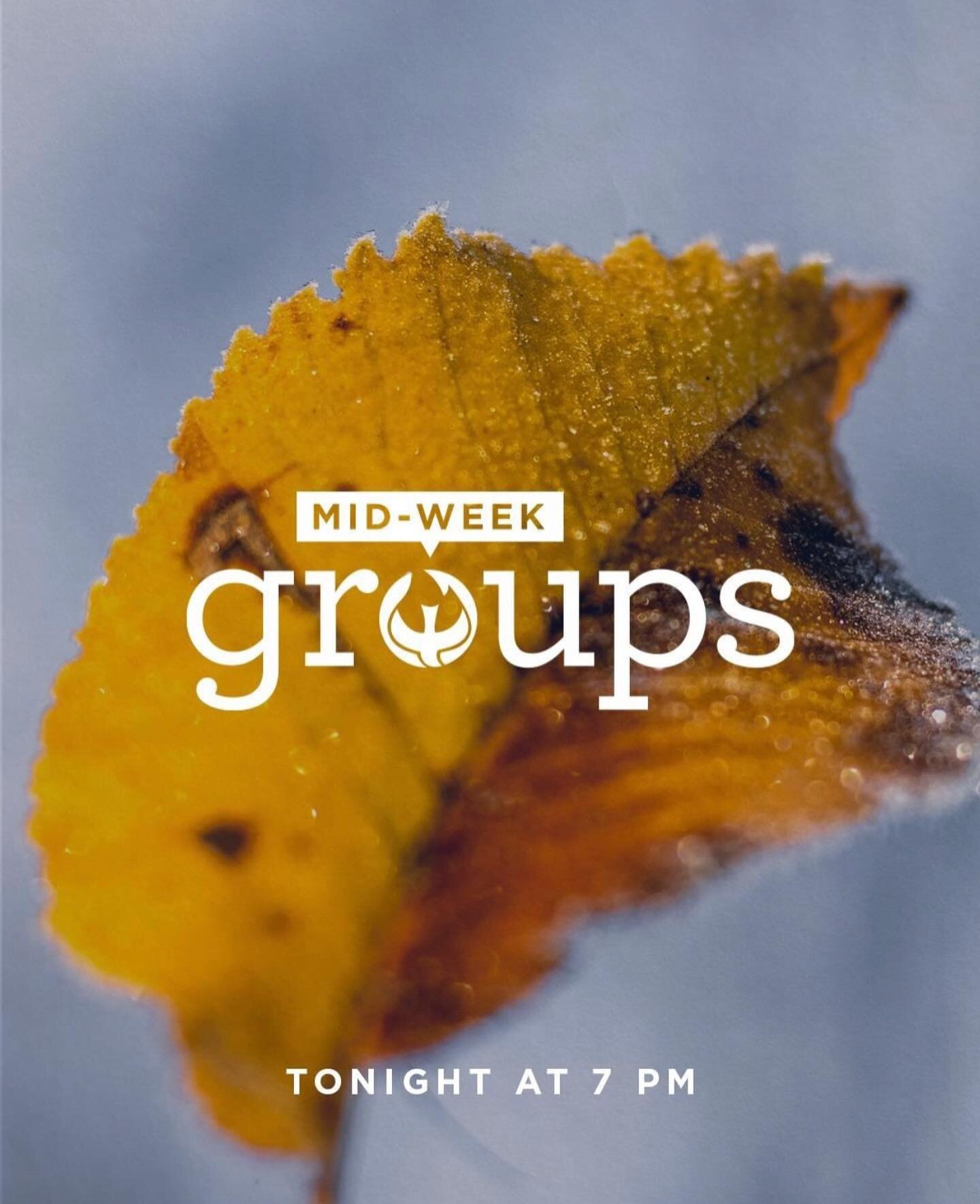 Tonight is our first home bible study midweek groups! For the next 6 weeks AWC is having midweek home Bible study groups @ 7.  If anyone wants to be connected to a home group call 405-329-1285 📞. We can&rsquo;t wait to see you there!