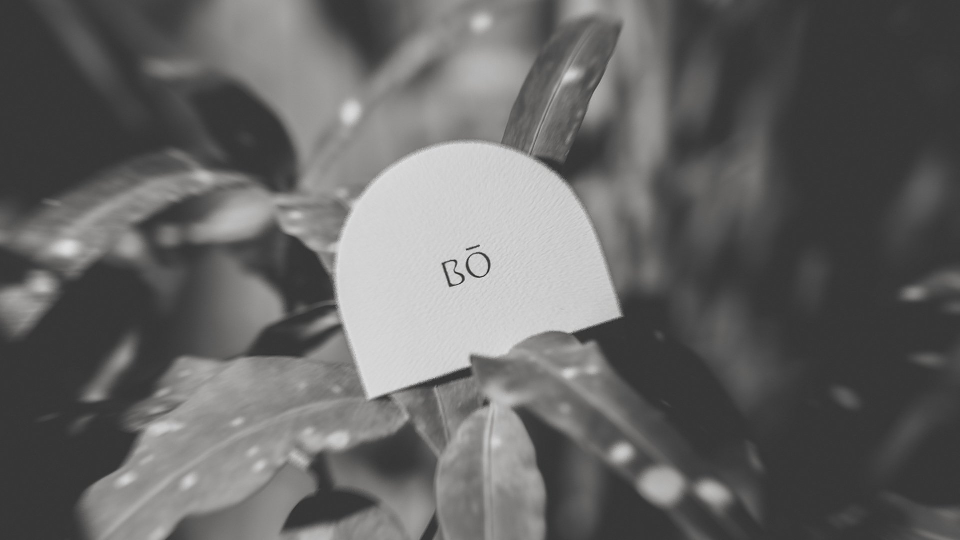 Bō_Photo_Web_15.jpg