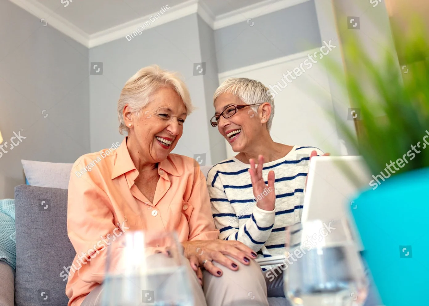 Social Work and Senior Move Management