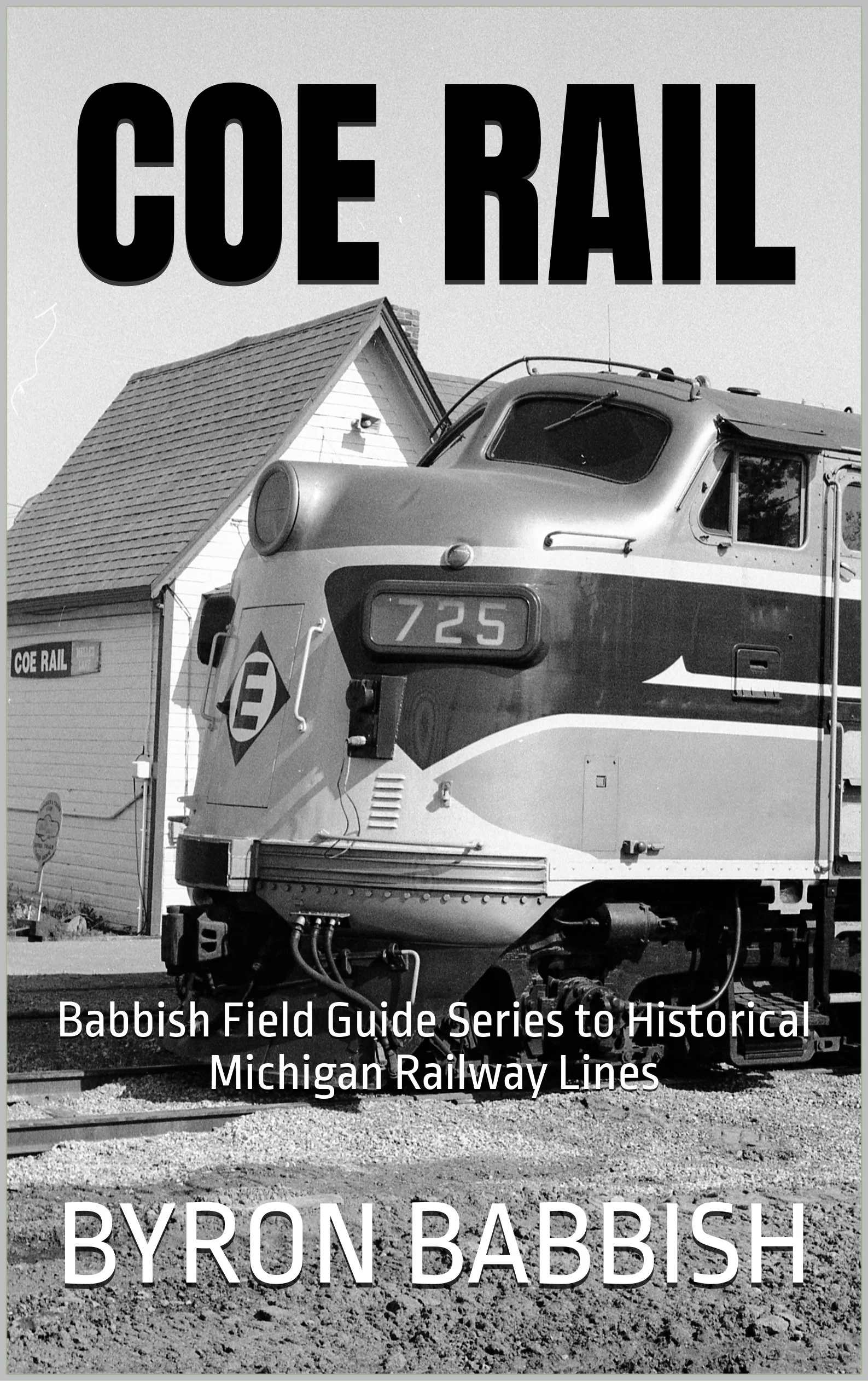 Cover Coe Kindle.jpg