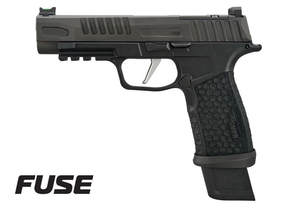 p365-fuse-left-logo.jpg