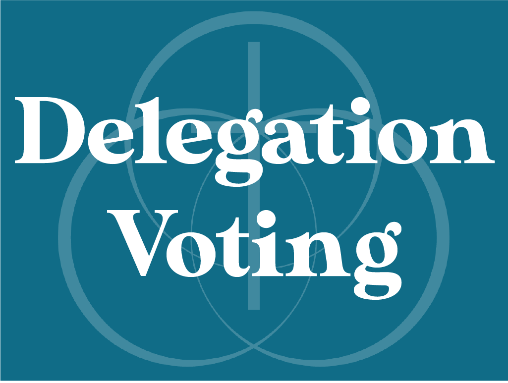 Delegation Voting.png