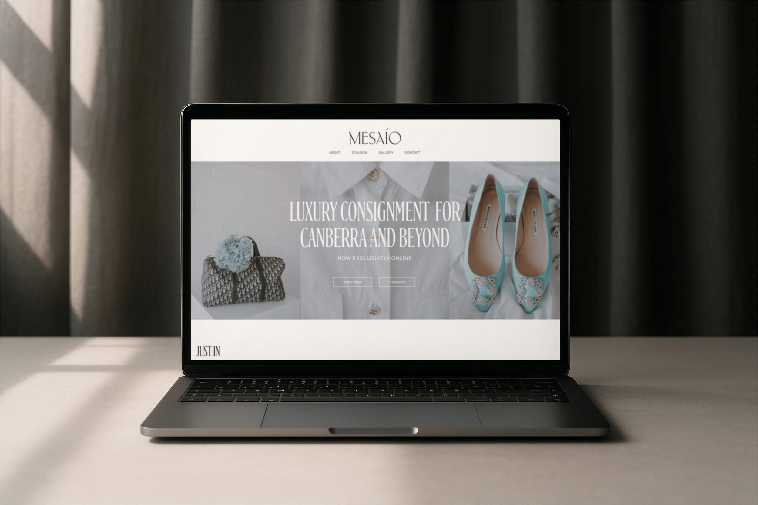 Mesaio homepage design
